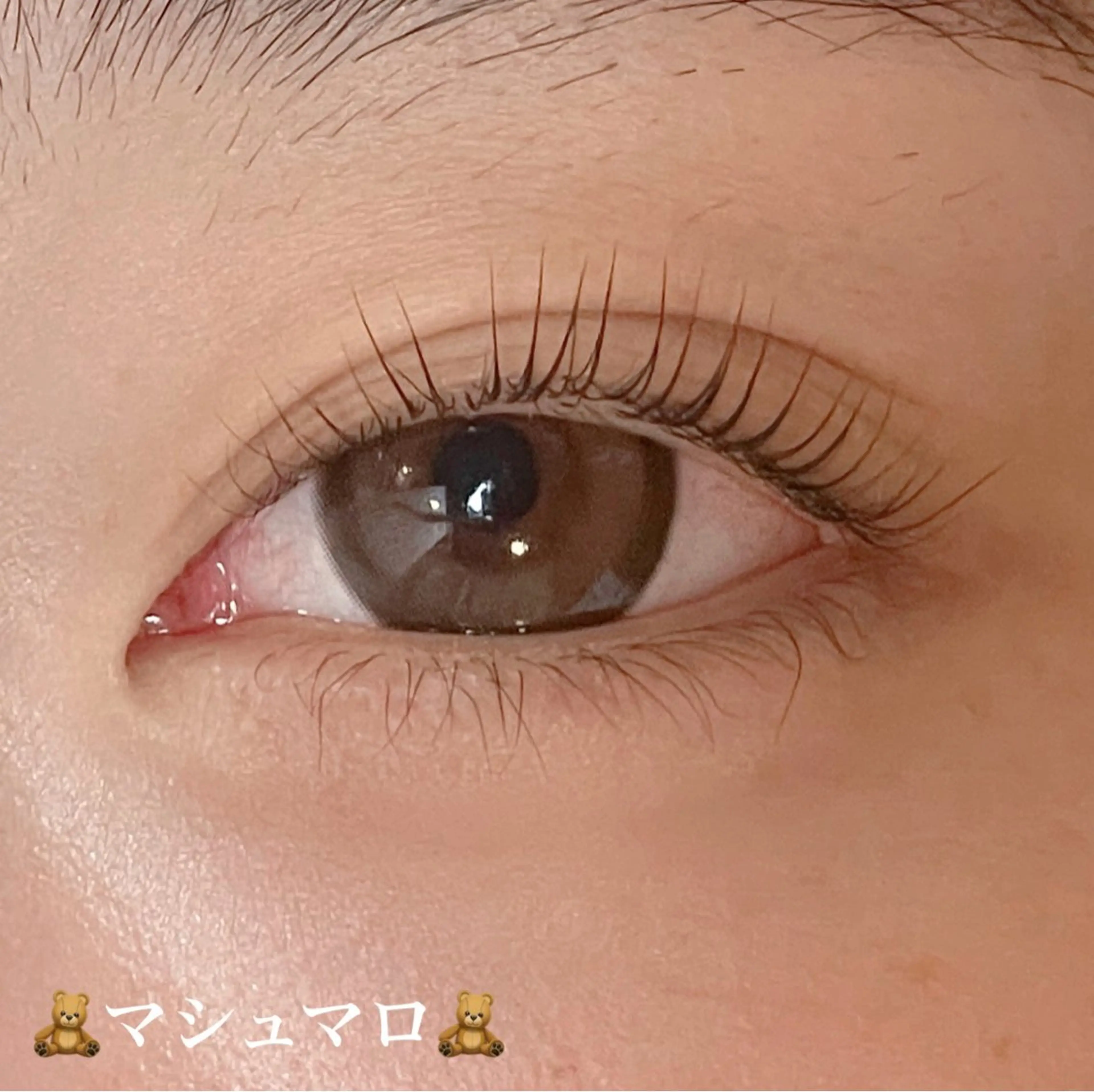 マツエク・マツパ Butterfly 平塚店　中島のマツエク・マツパデザイン