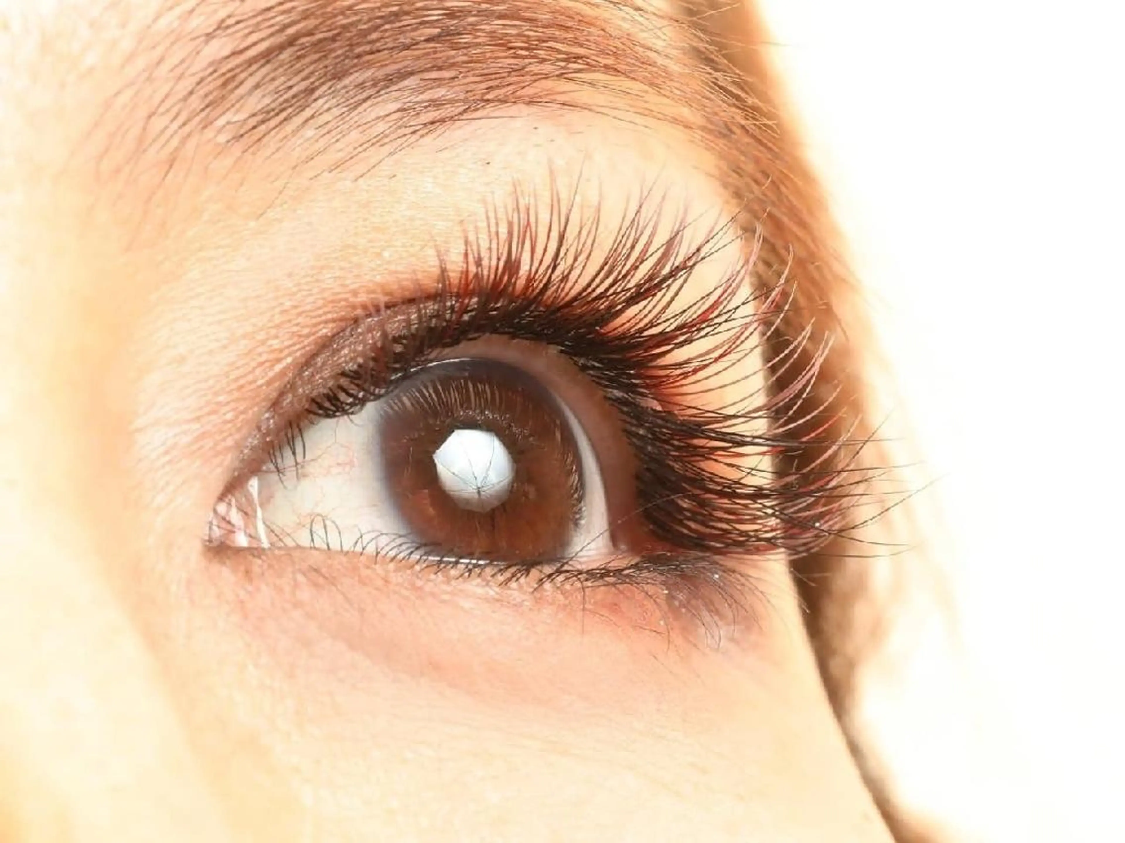 マツエク・マツパ カラーマツエク Rinto/ makoのマツエク・マツパデザイン