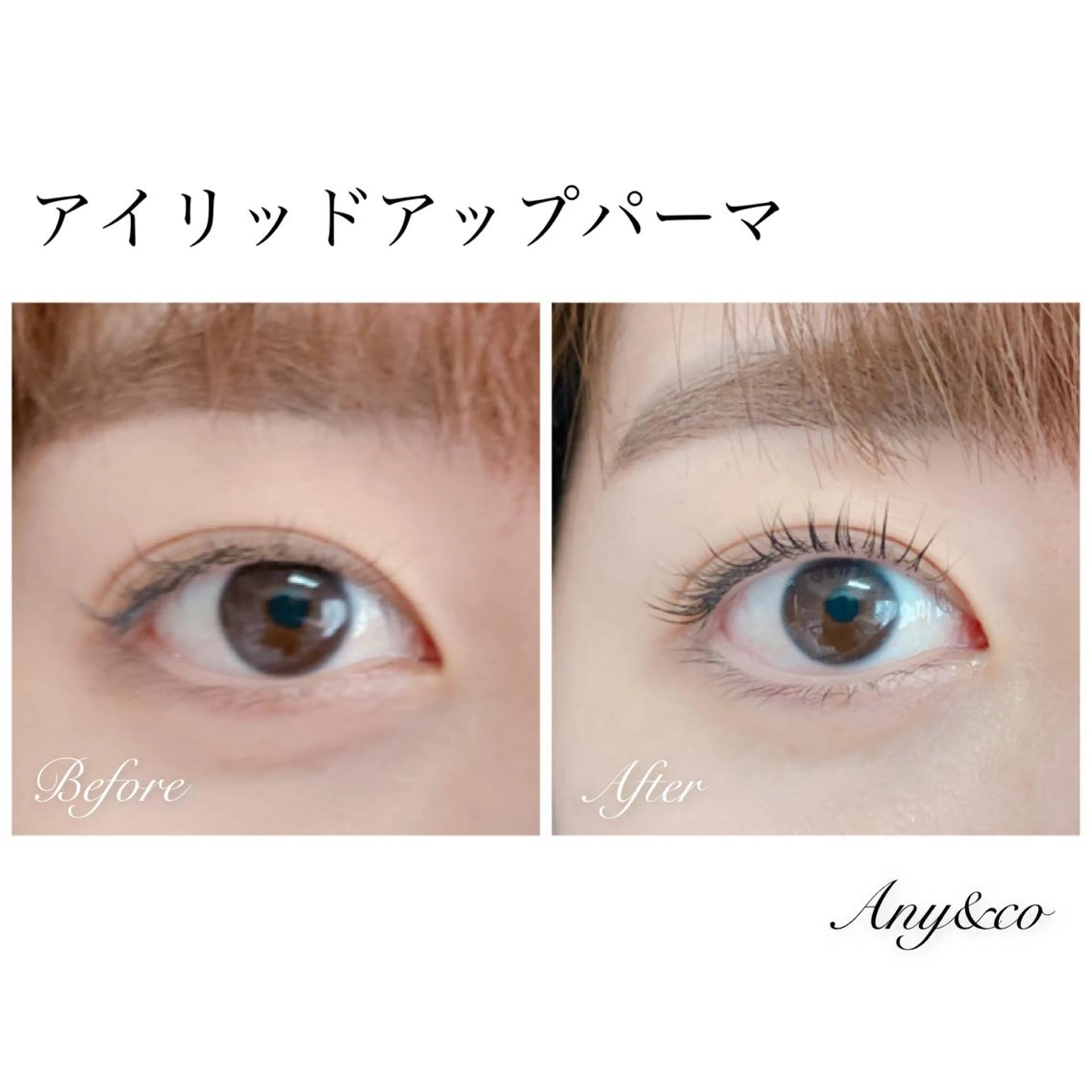 マツエク・マツパ アイリッドアップパーマ Any&co 【エニコ】のマツエク・マツパデザイン