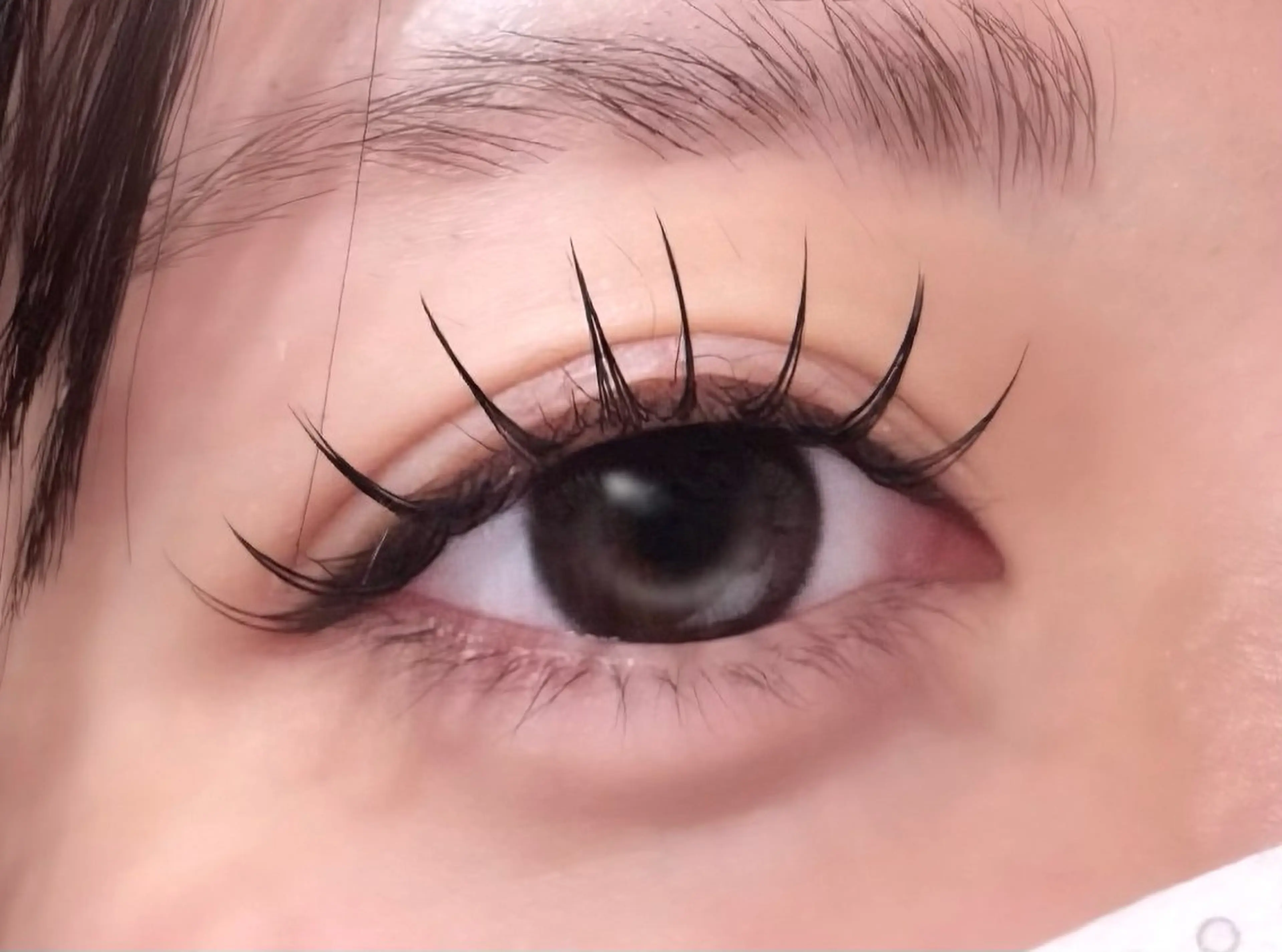 マツエク・マツパ パリジェンヌラッシュリフト セーブル DL・BEAUTY 🩶RISEのマツエク・マツパデザイン