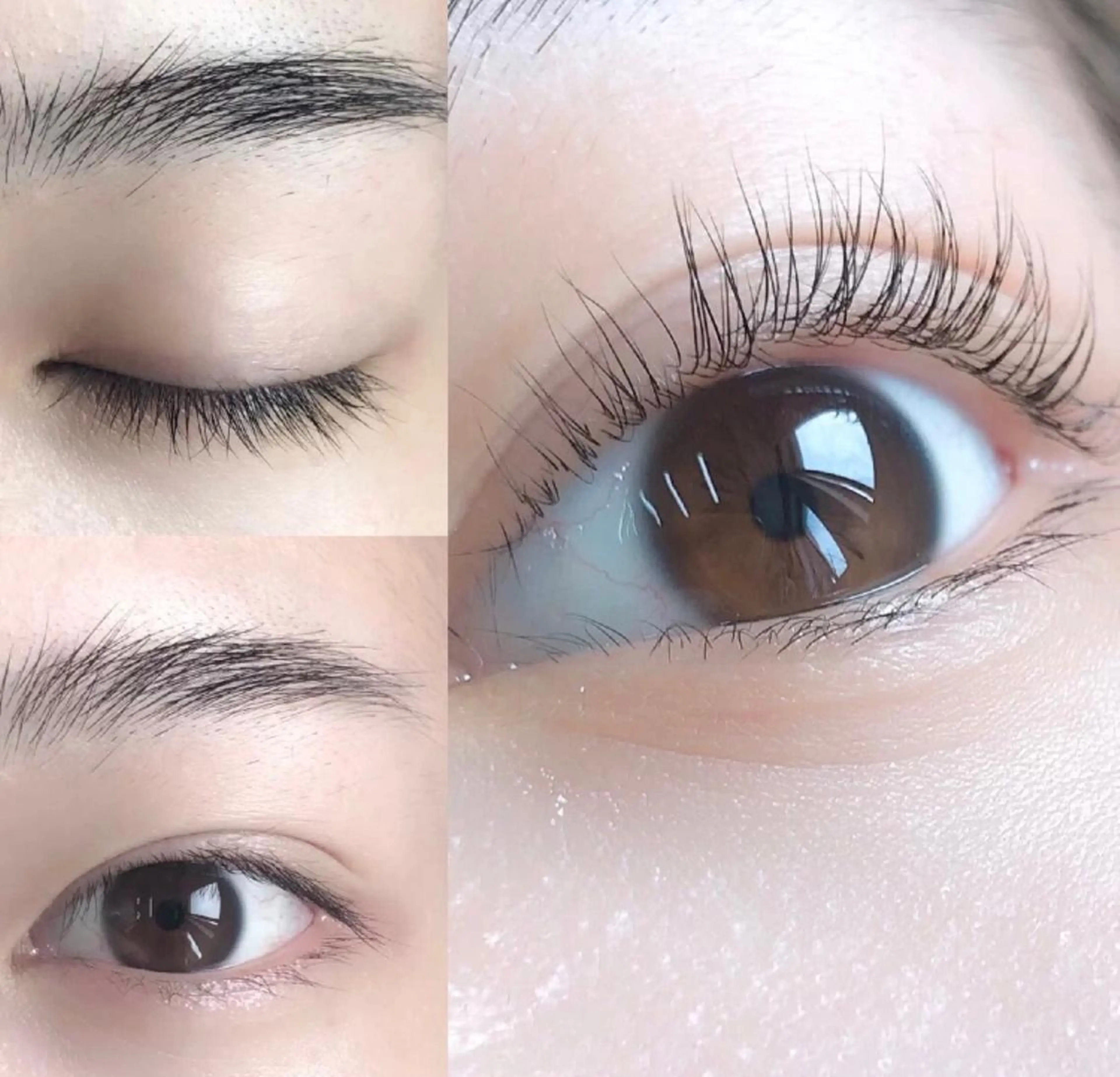 《🩶minimo限定🩶》パリジェンヌ上下➕フラット80本2回目以降14980の写真