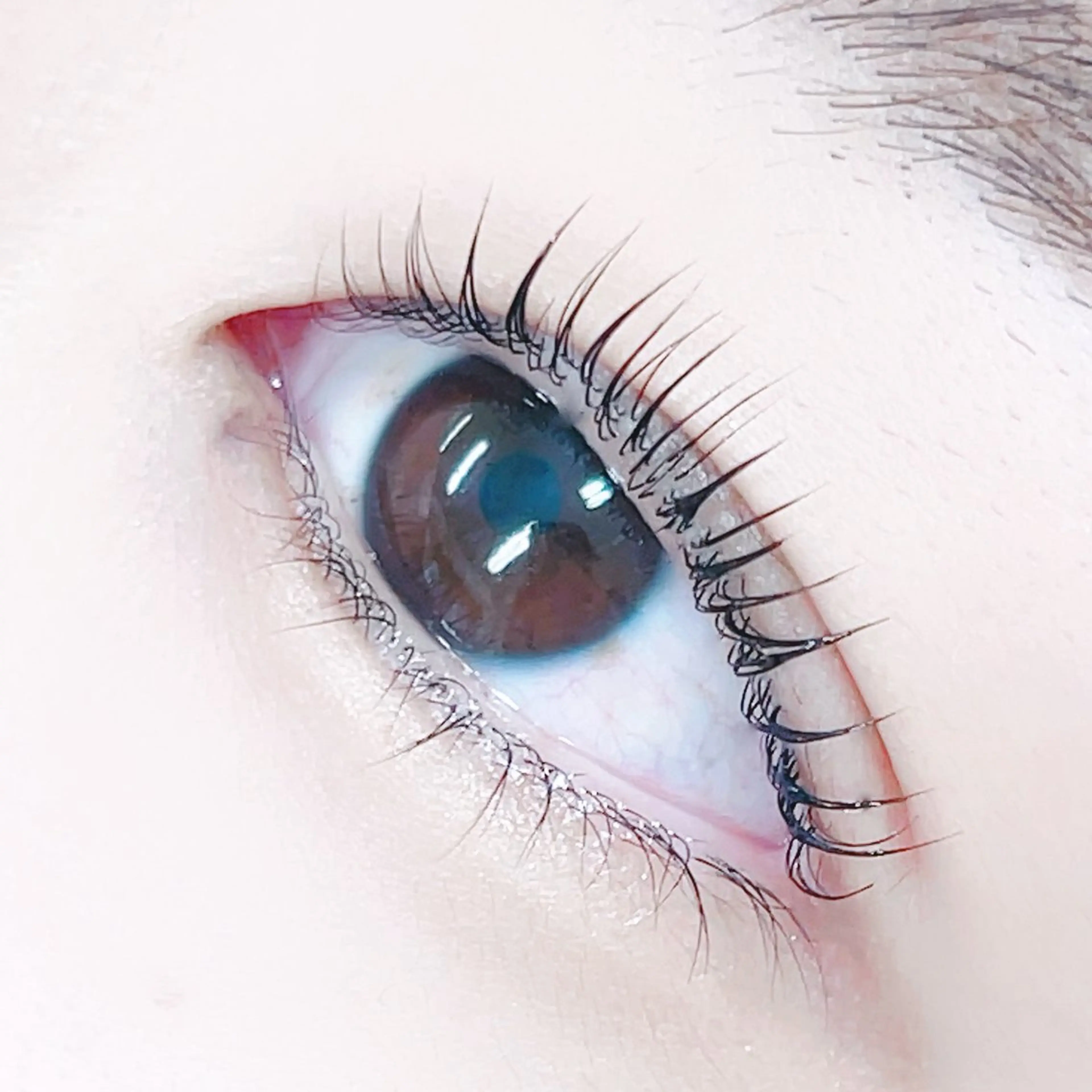 マツエク・マツパ R🌹 ⁺⊹˚.のマツエク・マツパデザイン