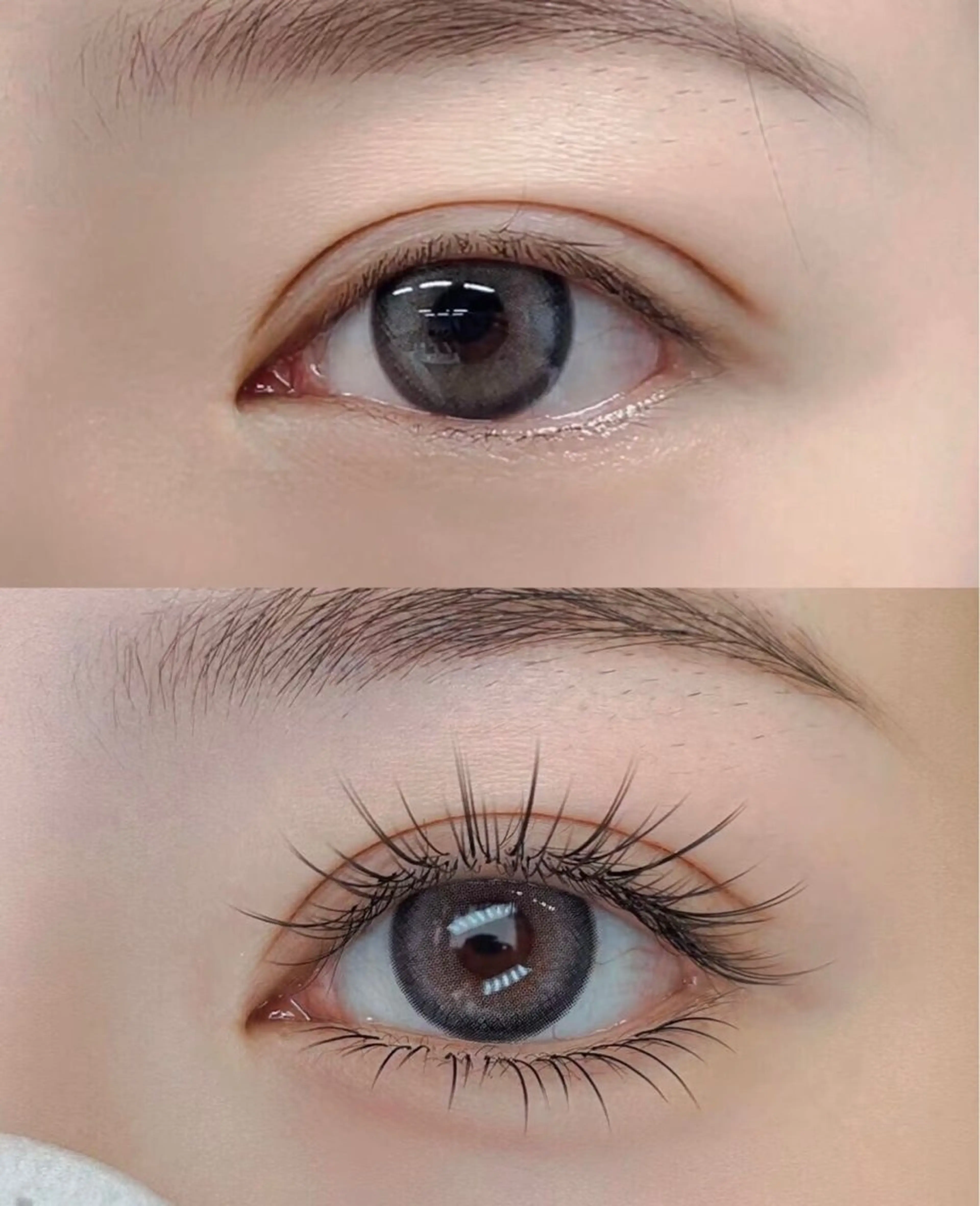 【初回オフ無料】ワンホンデザイン120束の写真