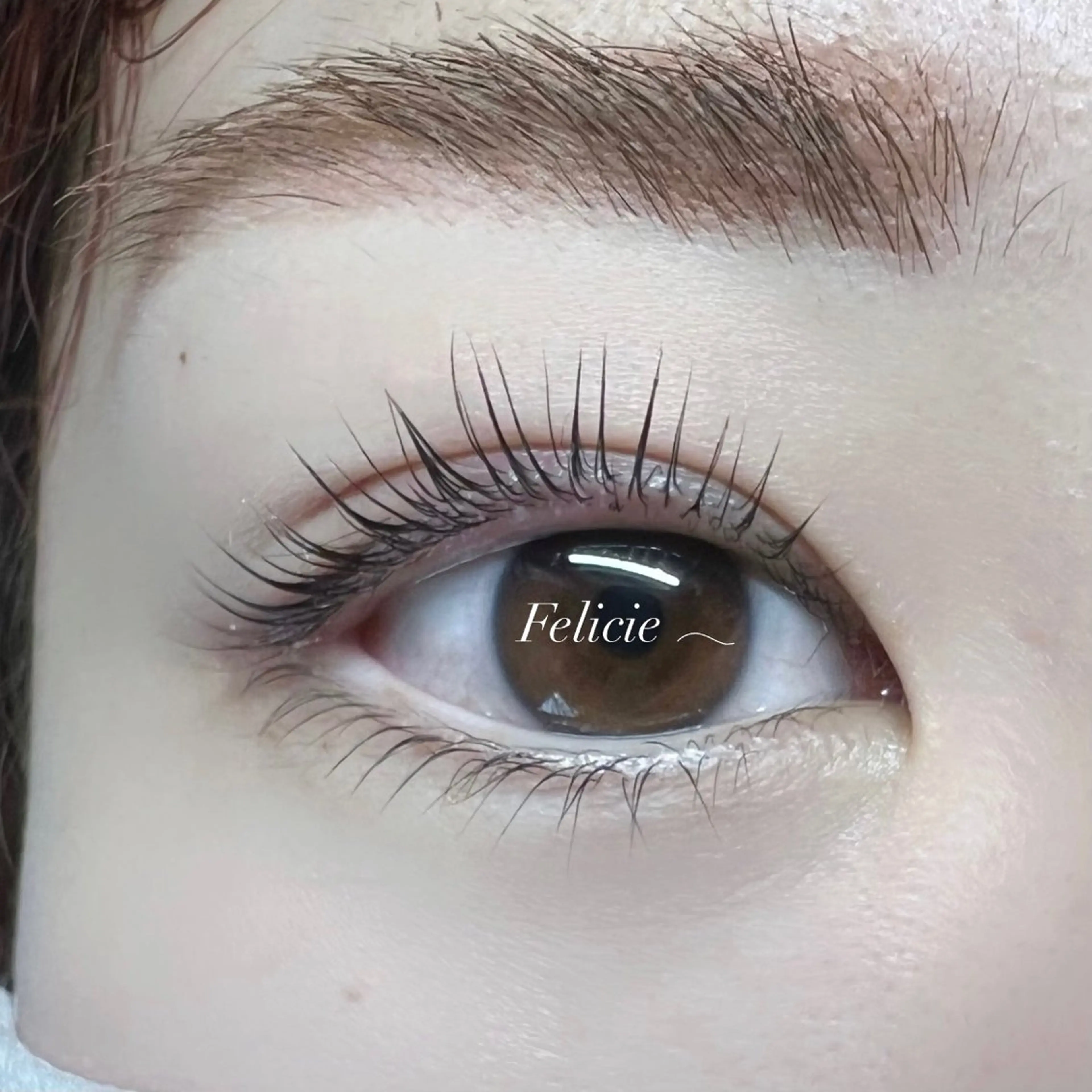 マツエク・マツパ パリジェンヌラッシュリフト マツパ Felicie＊ Sayakaのマツエク・マツパデザイン