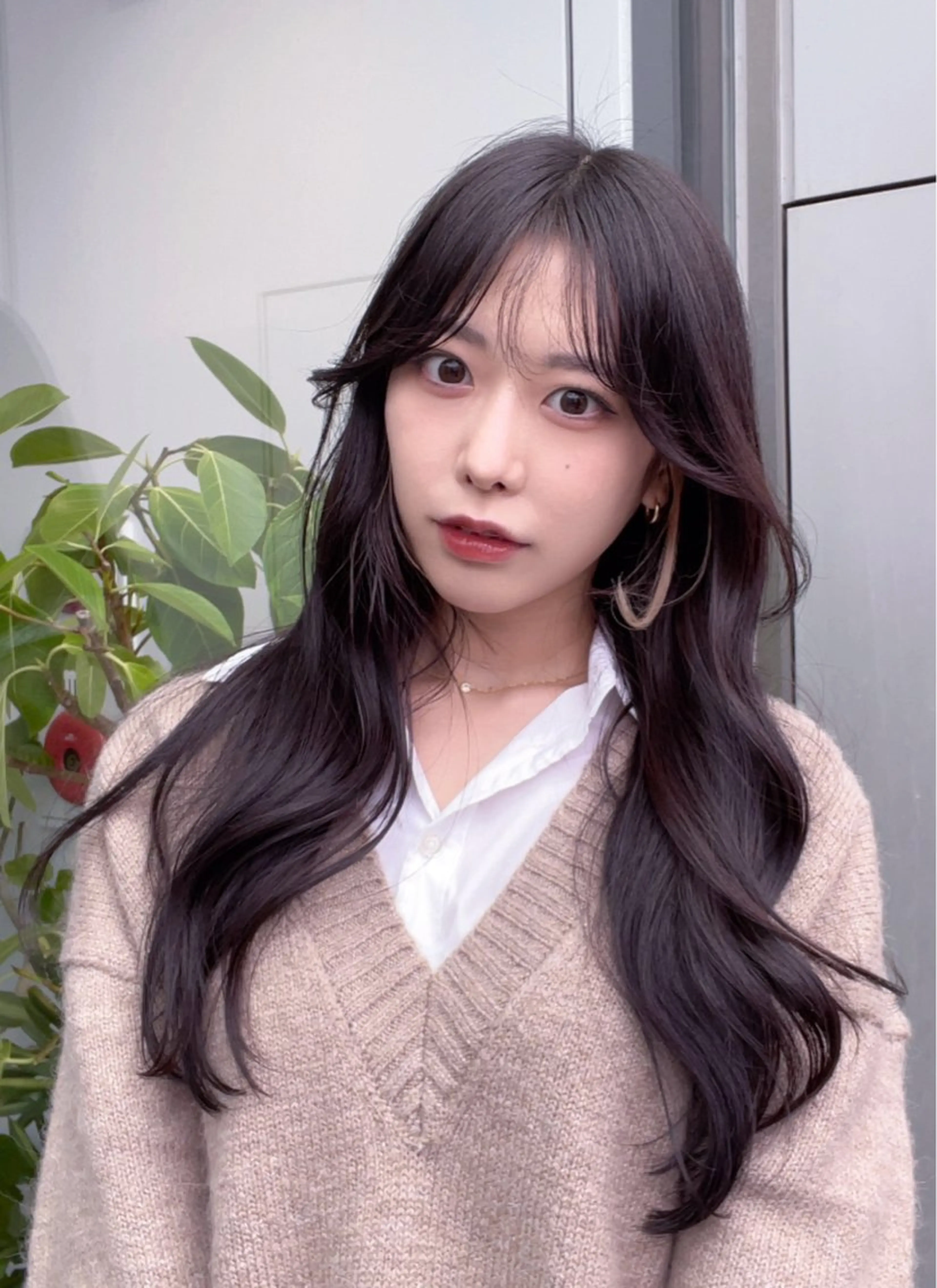 セミロング カラー カット ヘアカラー トリートメント 🌫️大人韓国ヘア 🌫️naoyaのヘアスタイル