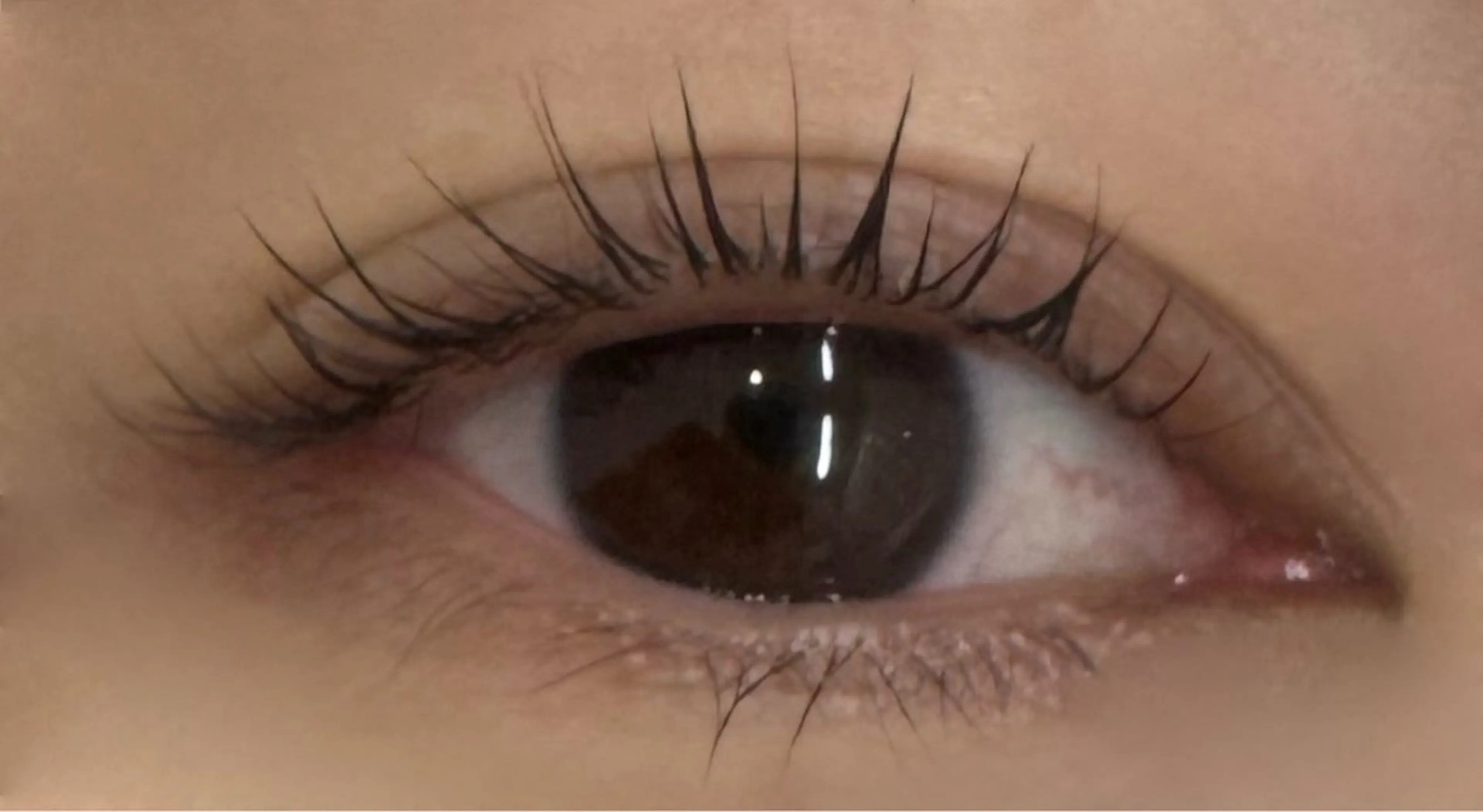 マツエク・マツパ パリジェンヌラッシュリフト 一重×まつ毛パーマ KANGOL BEAUTY SALON Eyelash アルカキット錦糸町店所属・板谷 弥生のマツエク・マツパデザイン