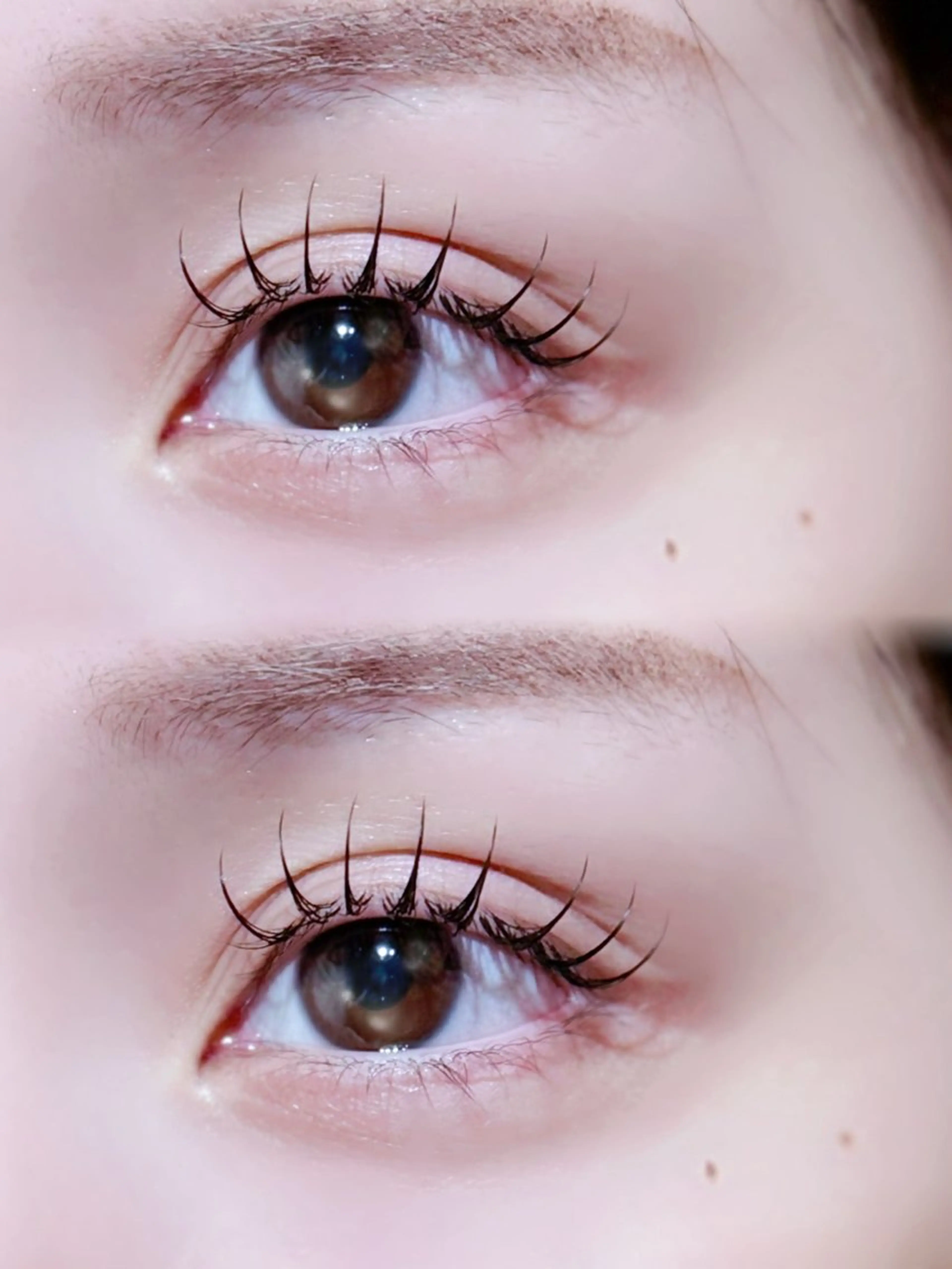 マツエク・マツパ Dカール フラットラッシュ LUME🪞 natsukiのマツエク・マツパデザイン