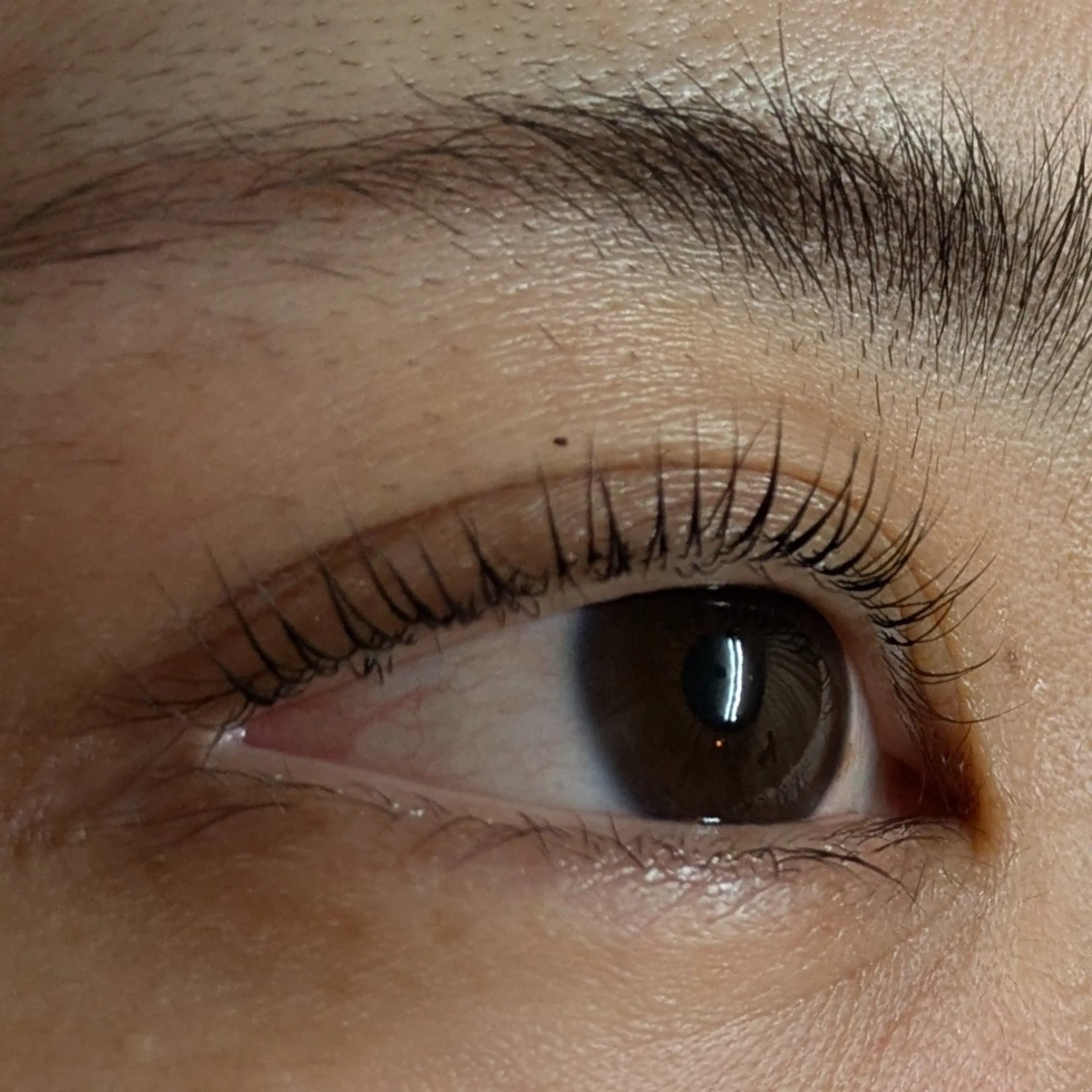 ３回目の方限定！えらべるラッシュリフト👁️3回目価格✨️美容液コーティング付きの写真