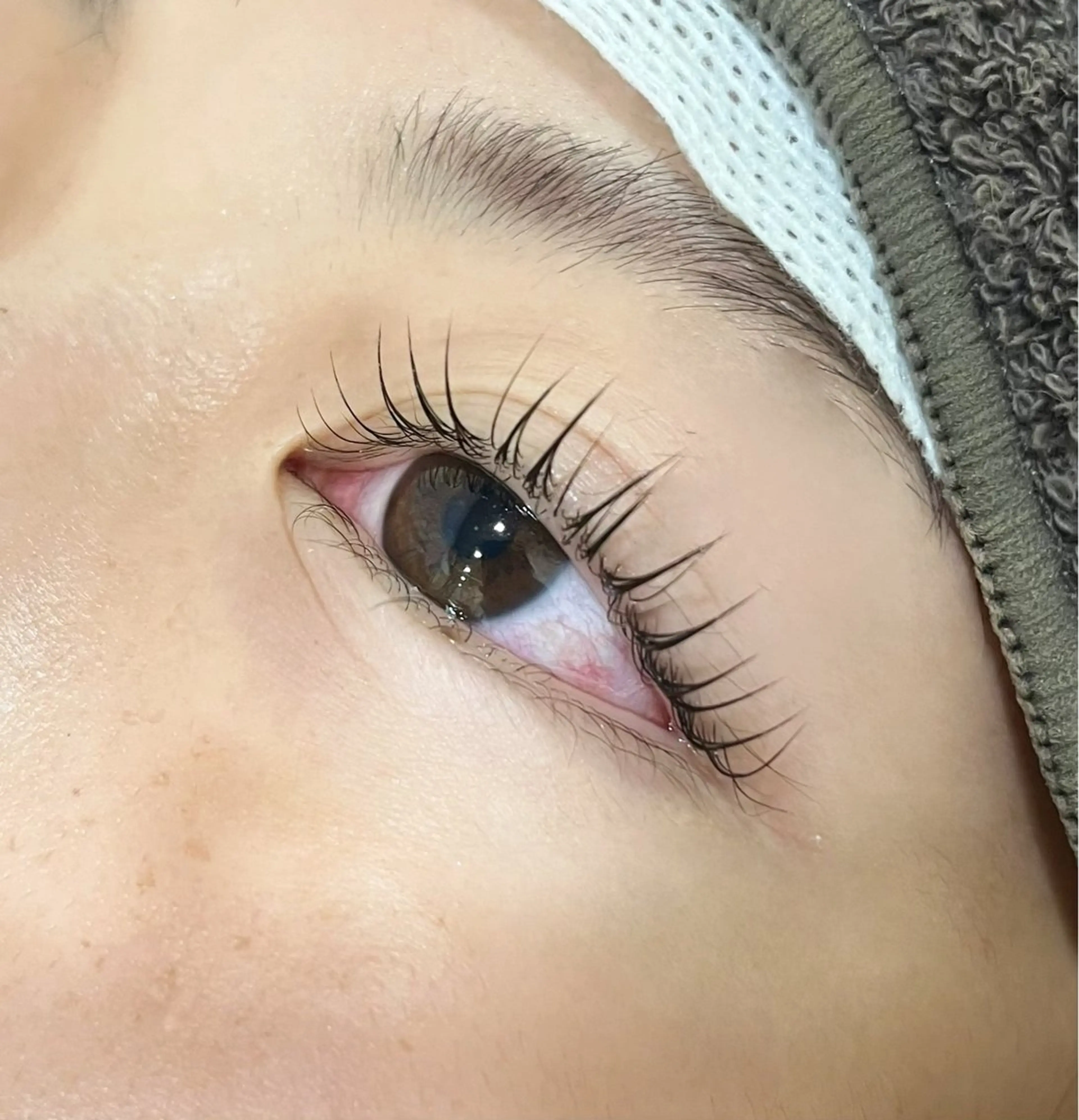 パリジェンヌラッシュリフト　¥6980→¥4980の写真