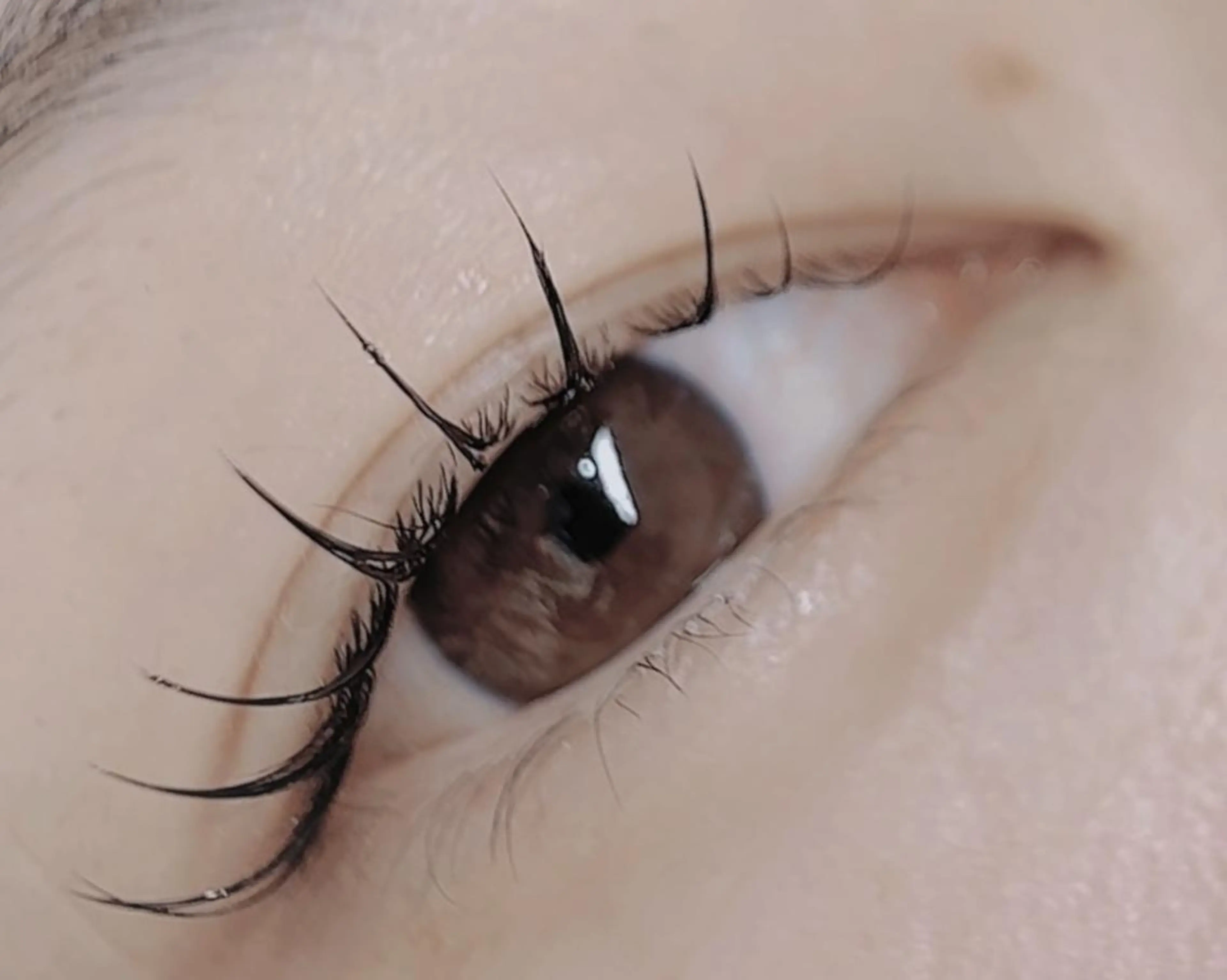 マツエク・マツパ 21時まで営業/金山 眉毛/脱毛/まつぱのマツエク・マツパデザイン