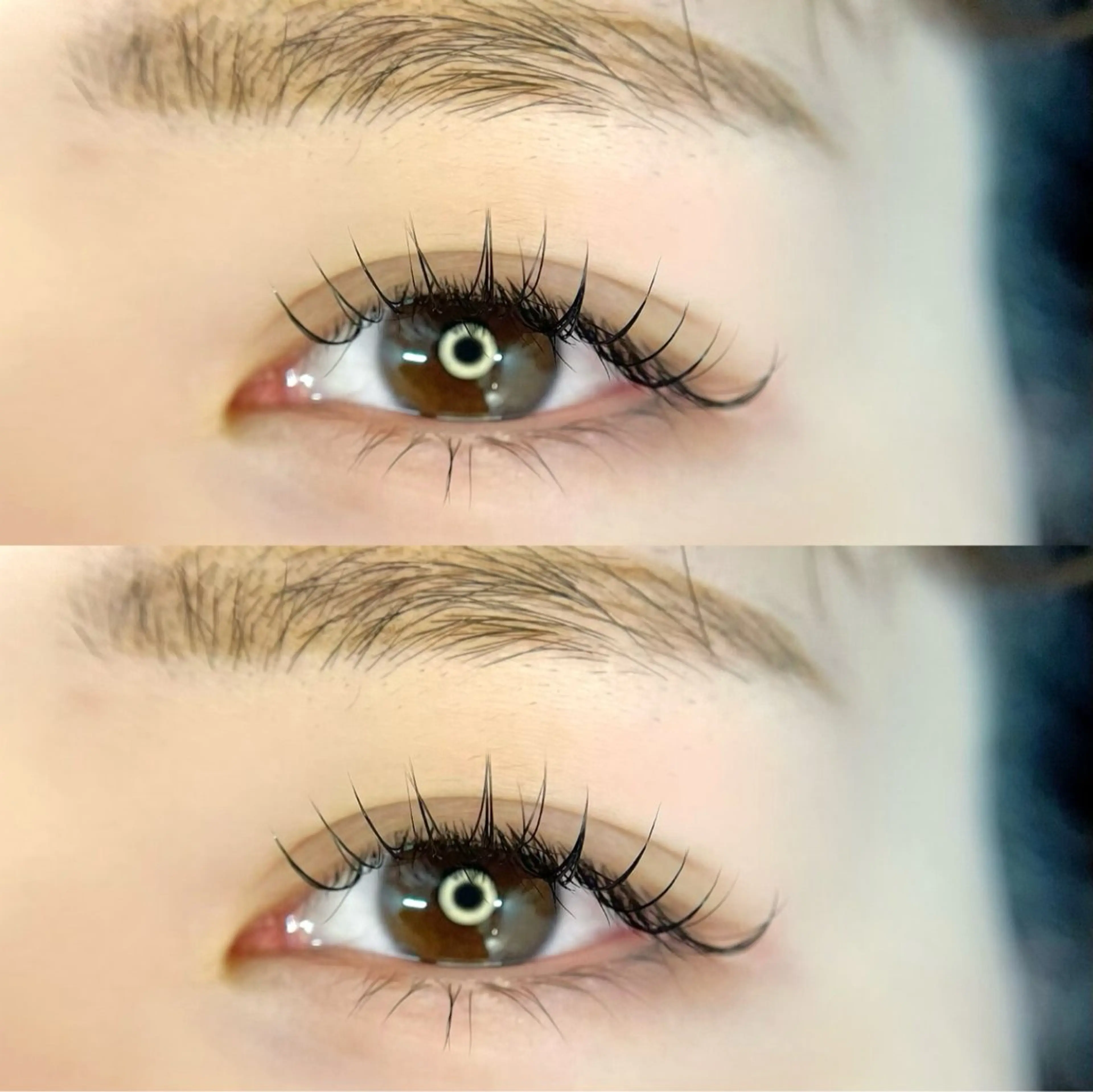 【12月限定❣】まつげダニ予防👿アイシャンプー×120本フラットラッシュ《コーティング付》¥5,500の写真