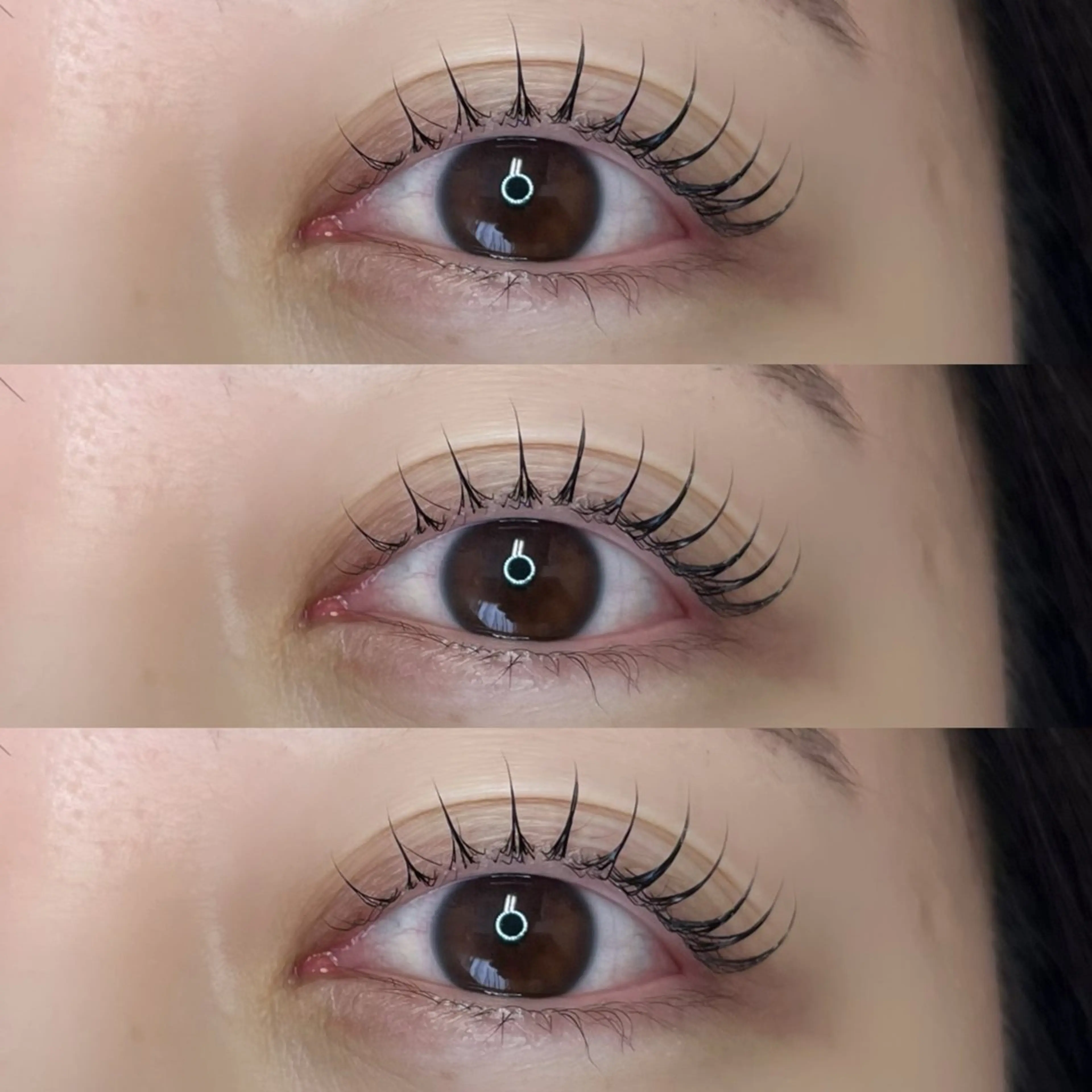 【新規】 🖤網紅ワンホン/まつ毛パーマ🖤の写真