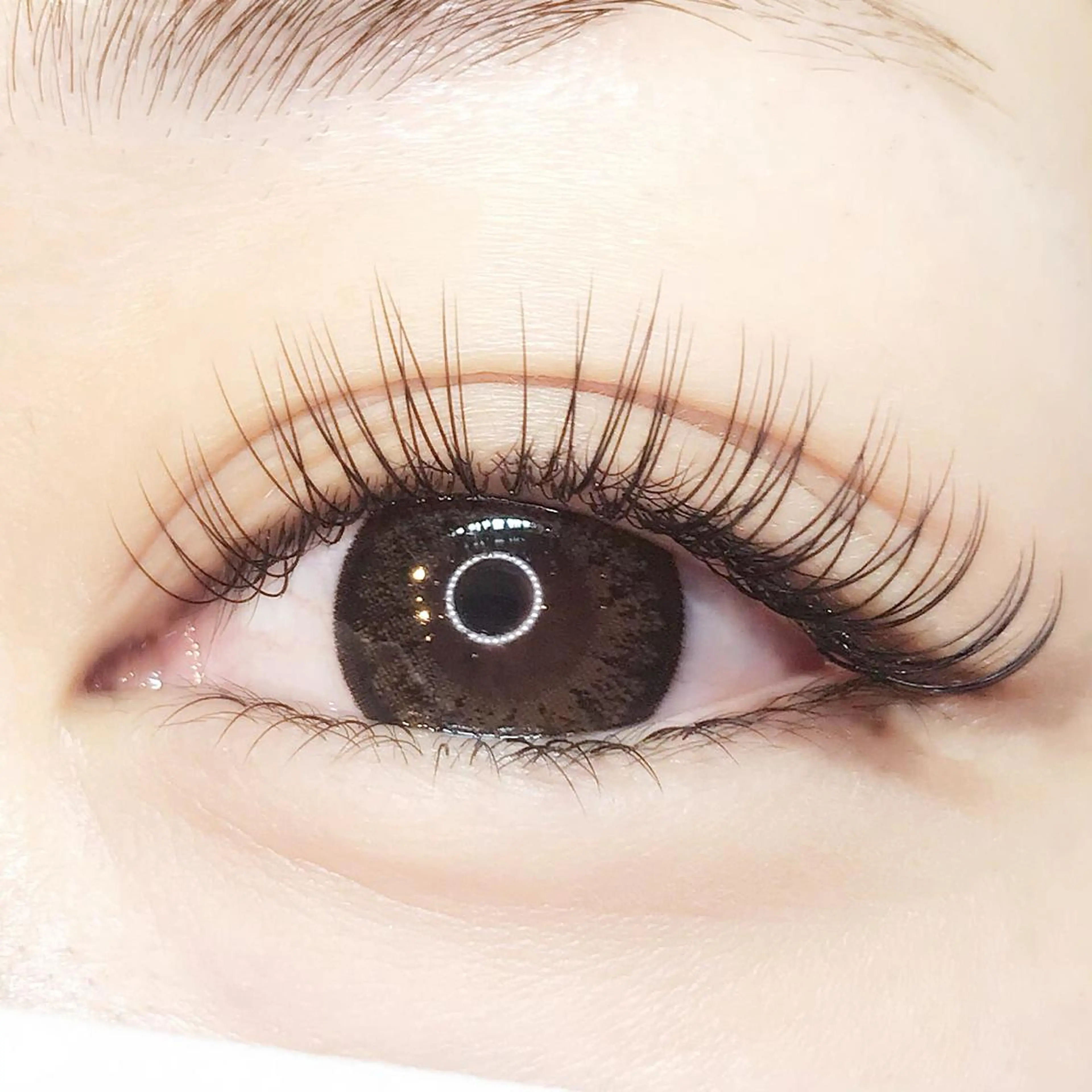 ［新規］エクステ100本👀🫧ナチュラルに🫧フラットラッシュ🐢オフ無料［亀戸］の写真