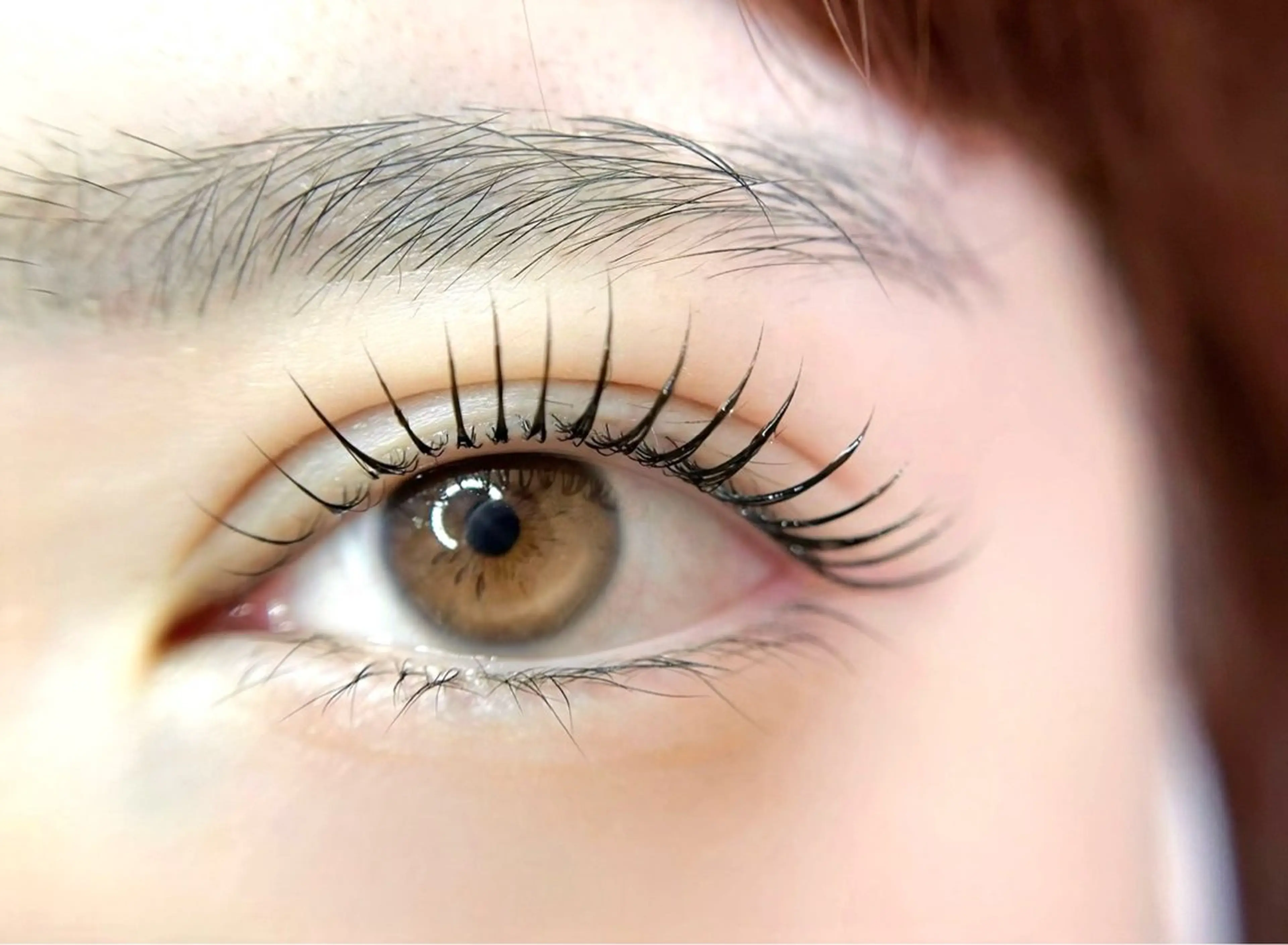 ‬【ご新規様限定】まつ毛パーマ/パリジェンヌ🧺特別価格で案内中🌿‬の写真