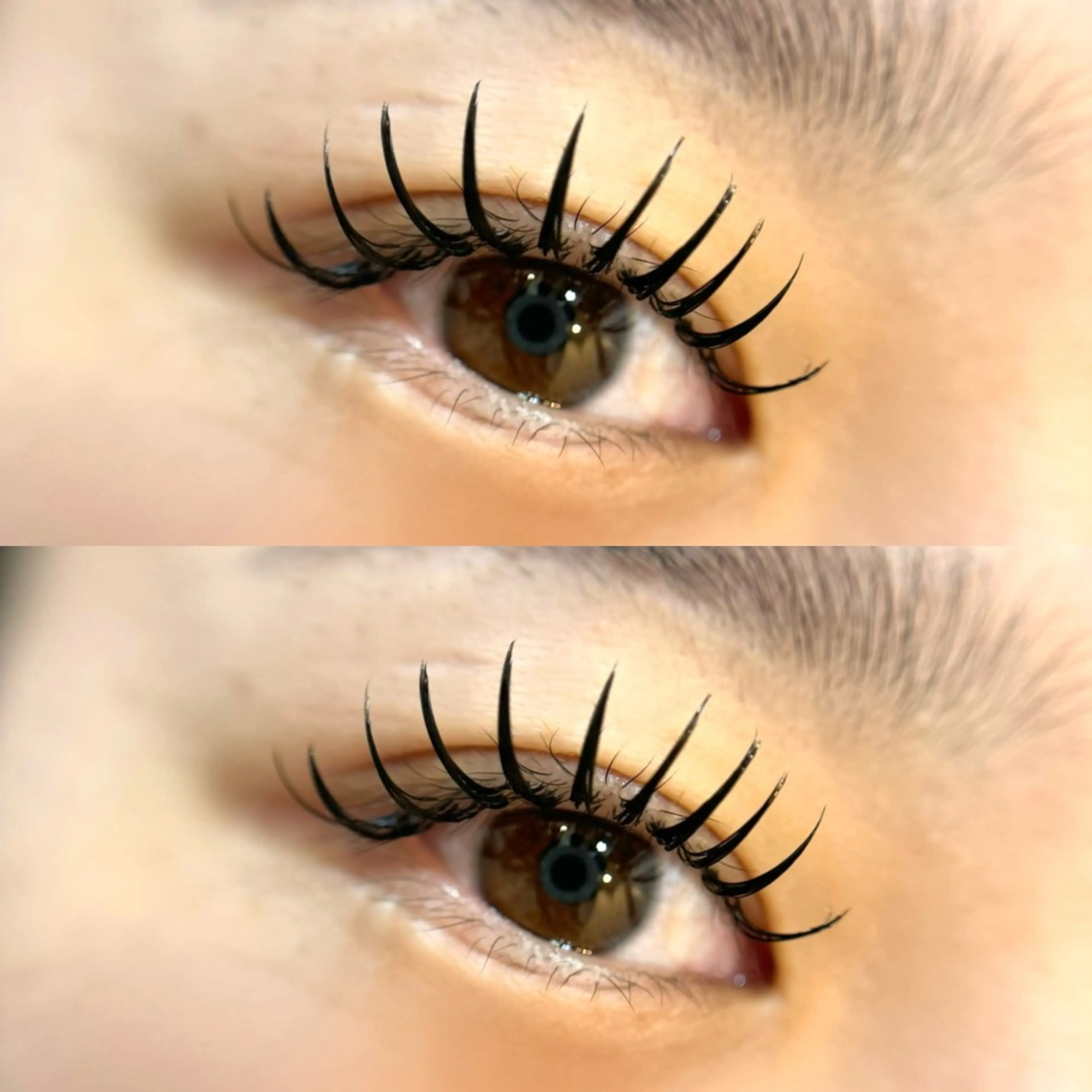 パーフェクトラッシュ120​〜​240本🪡[本数によって値段が異なります】の写真