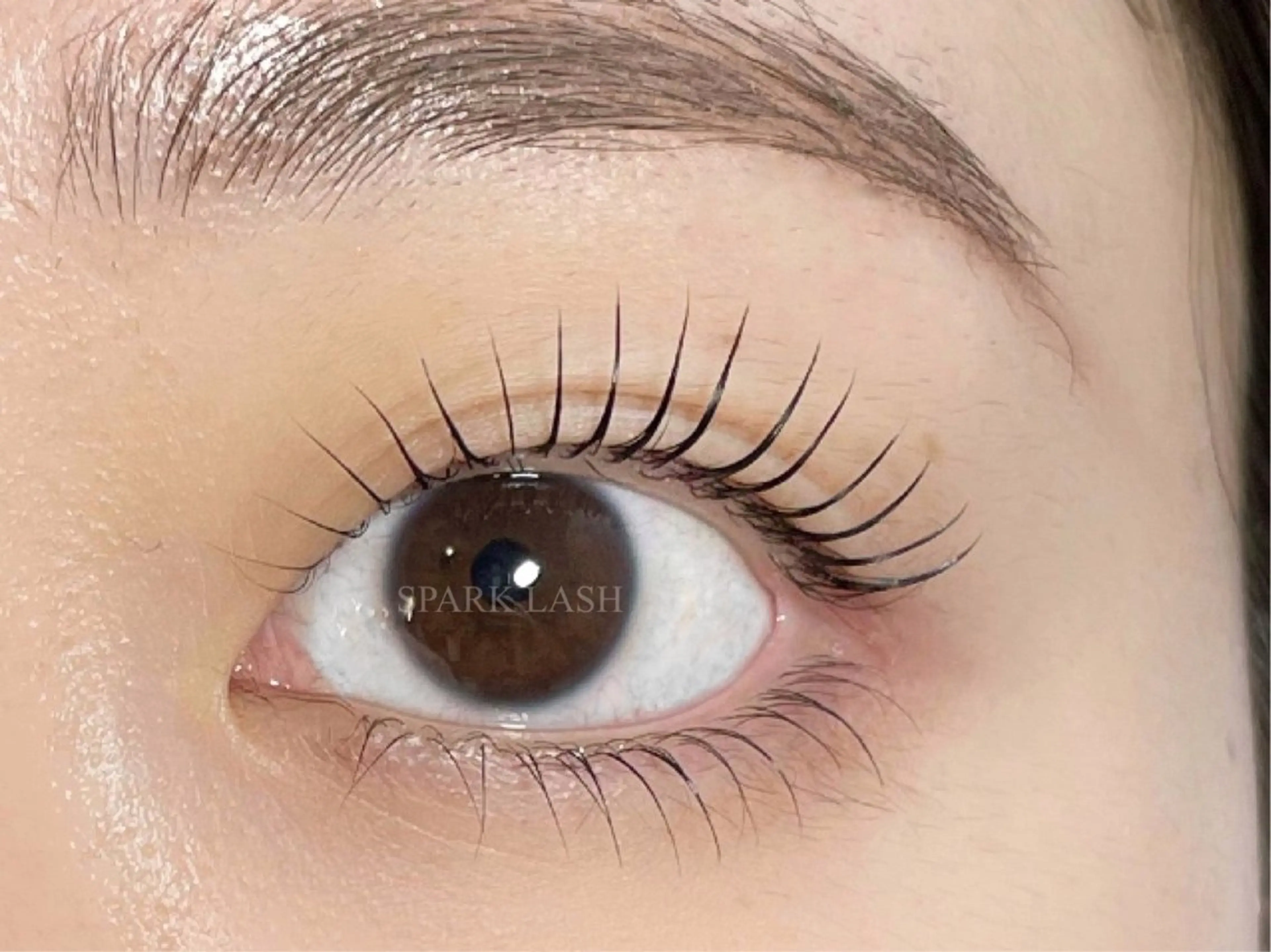 無料広告モデル💎1ヶ月以上パーマをかけていない方・写真撮影OKな方📸(上)まつ毛パーマ⚠️注意事項 要確認⚠️の写真