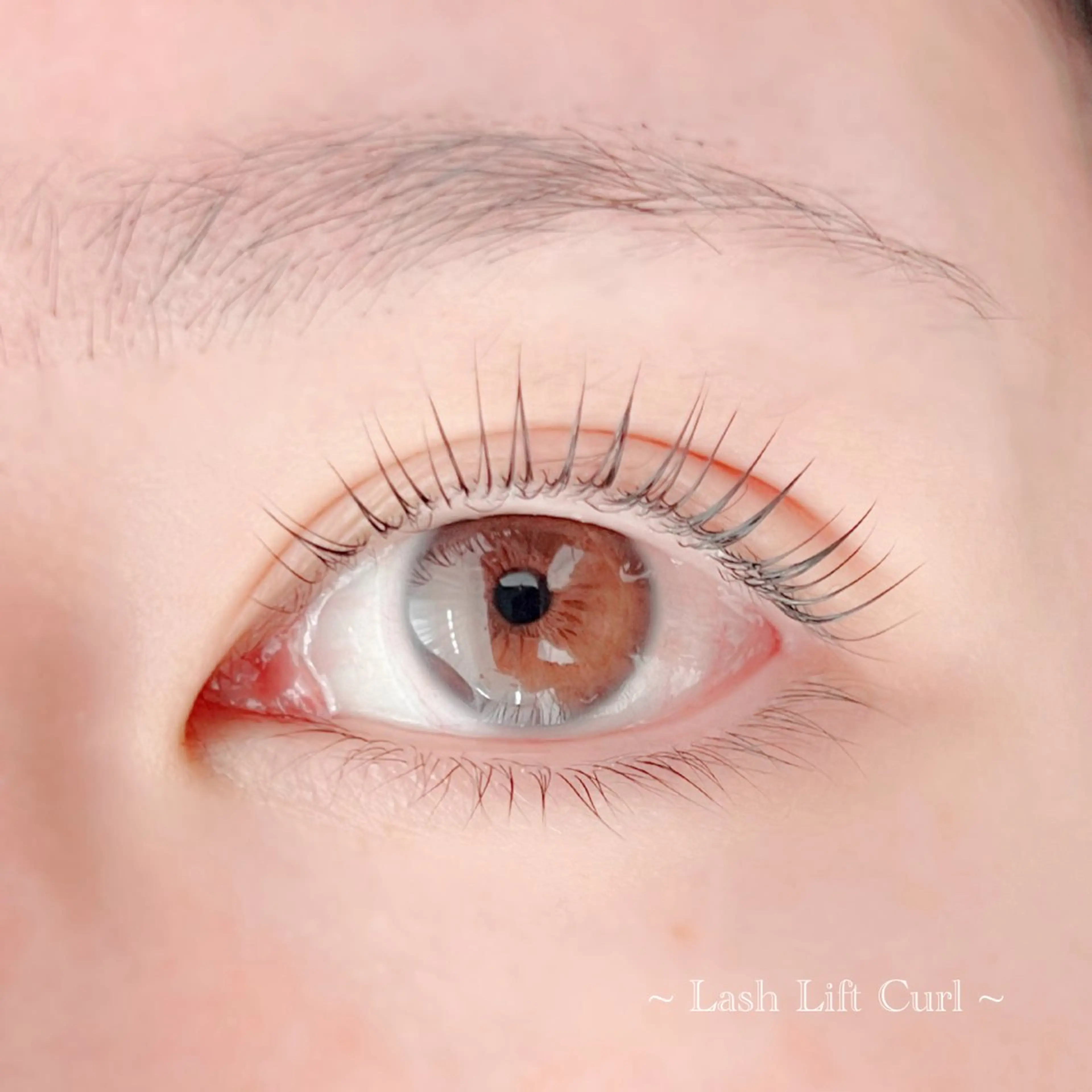 マツエク・マツパ 一重×まつ毛パーマ 田村 莉子のマツエク・マツパデザイン