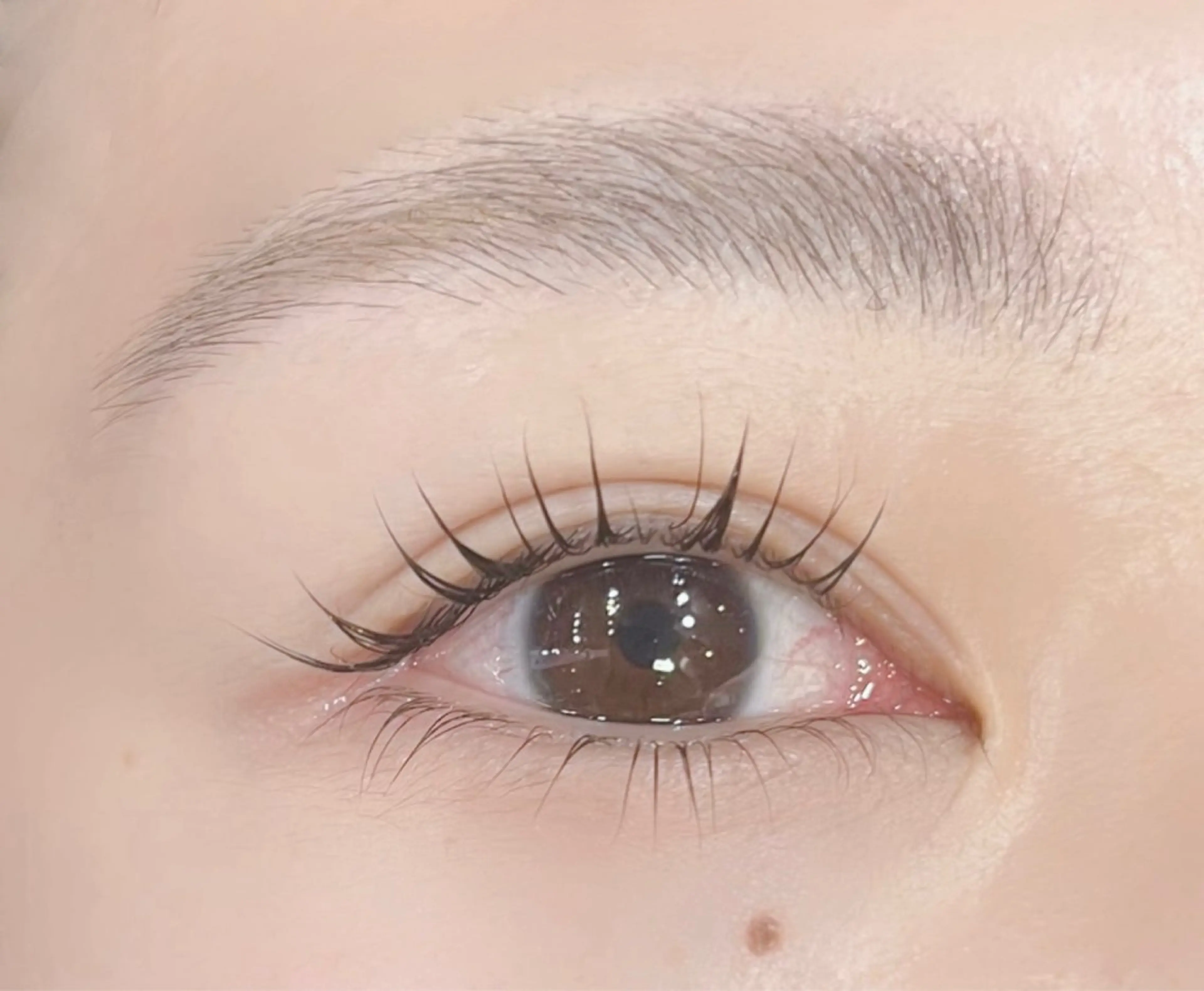 マツエク・マツパ まつげパーマ 下まつげエクステ IIJIMA /まつパ/パリ/束感のマツエク・マツパデザイン