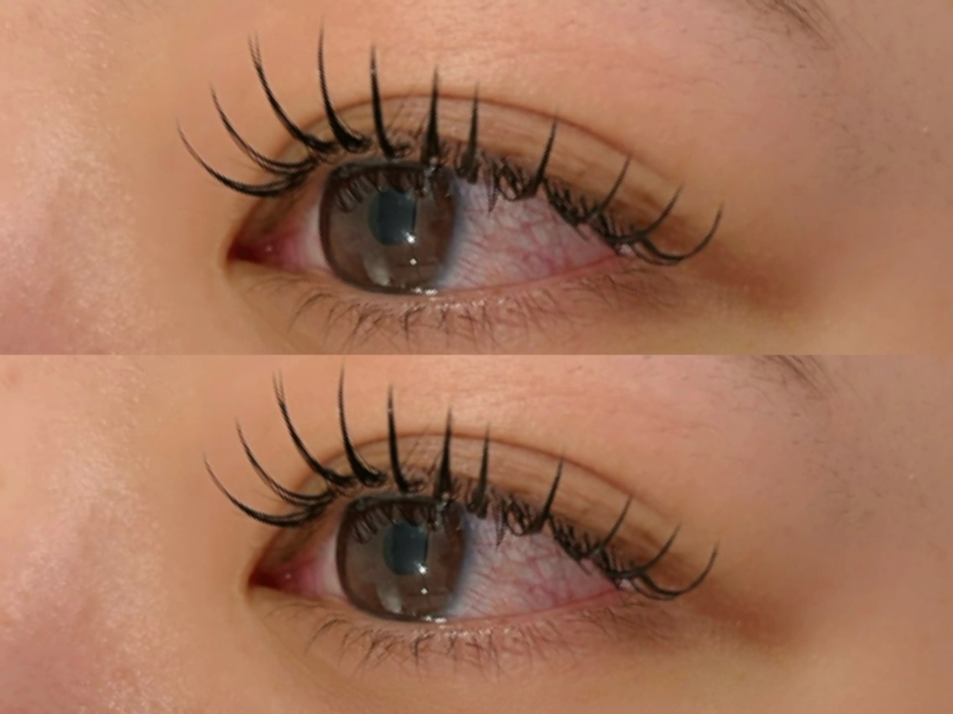 フラットラッシュ140本🐻‍❄️の写真