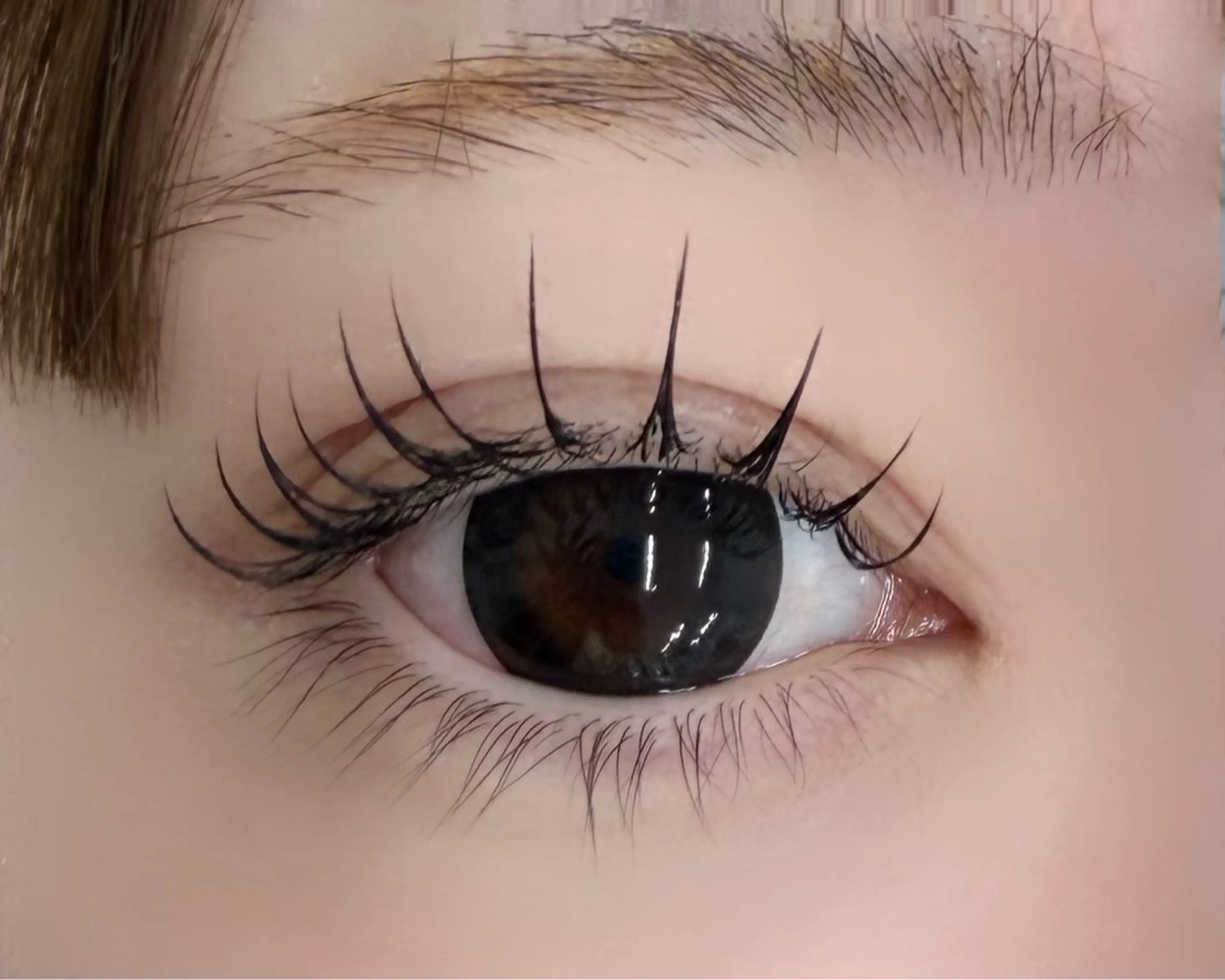 Jrアイリストフラットラッシュ120本🪡🖤¥3,200円の写真