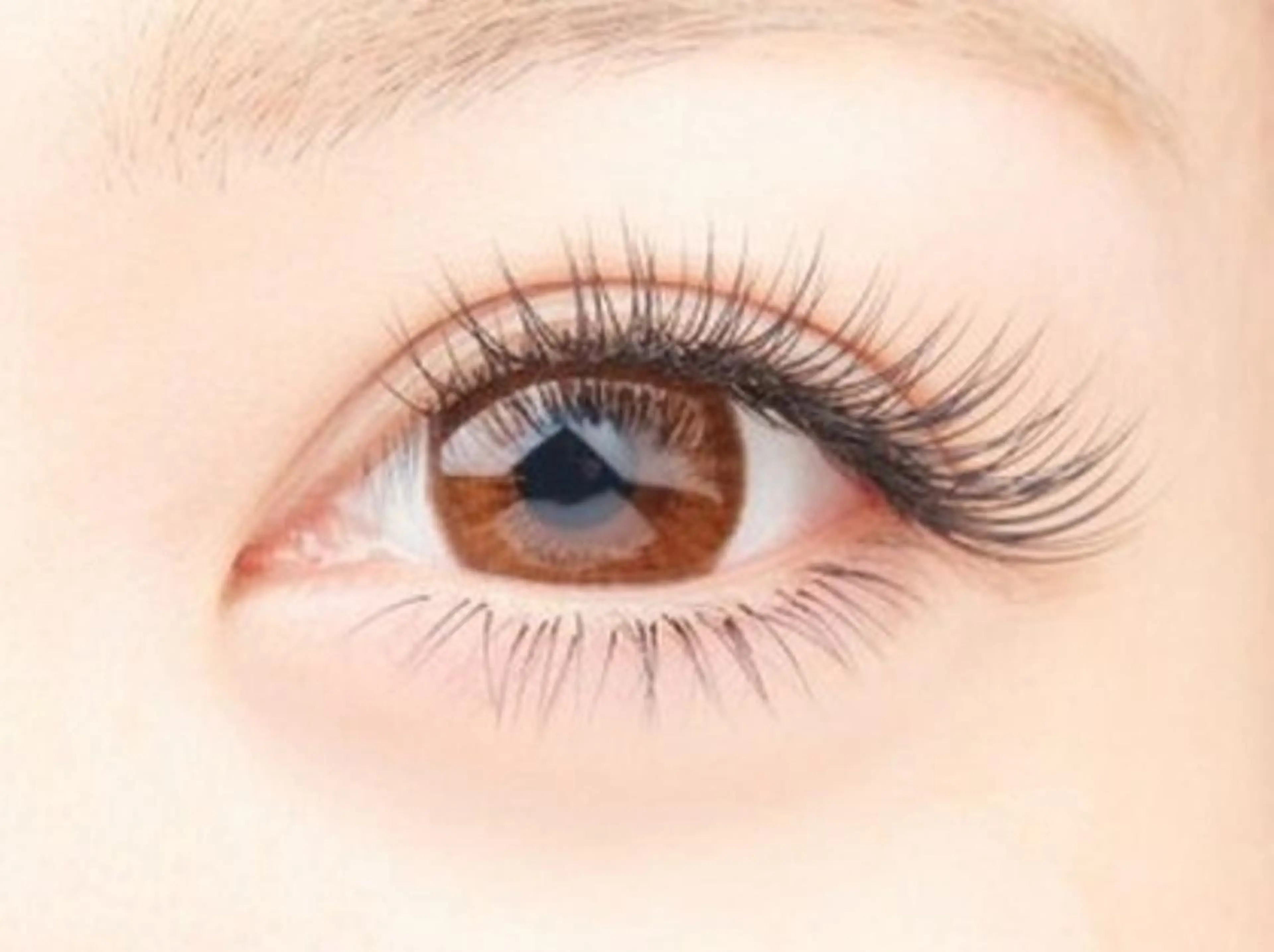 マツエク・マツパ パリスデスキン マーサ21店の眉毛・アイブロウイメージ