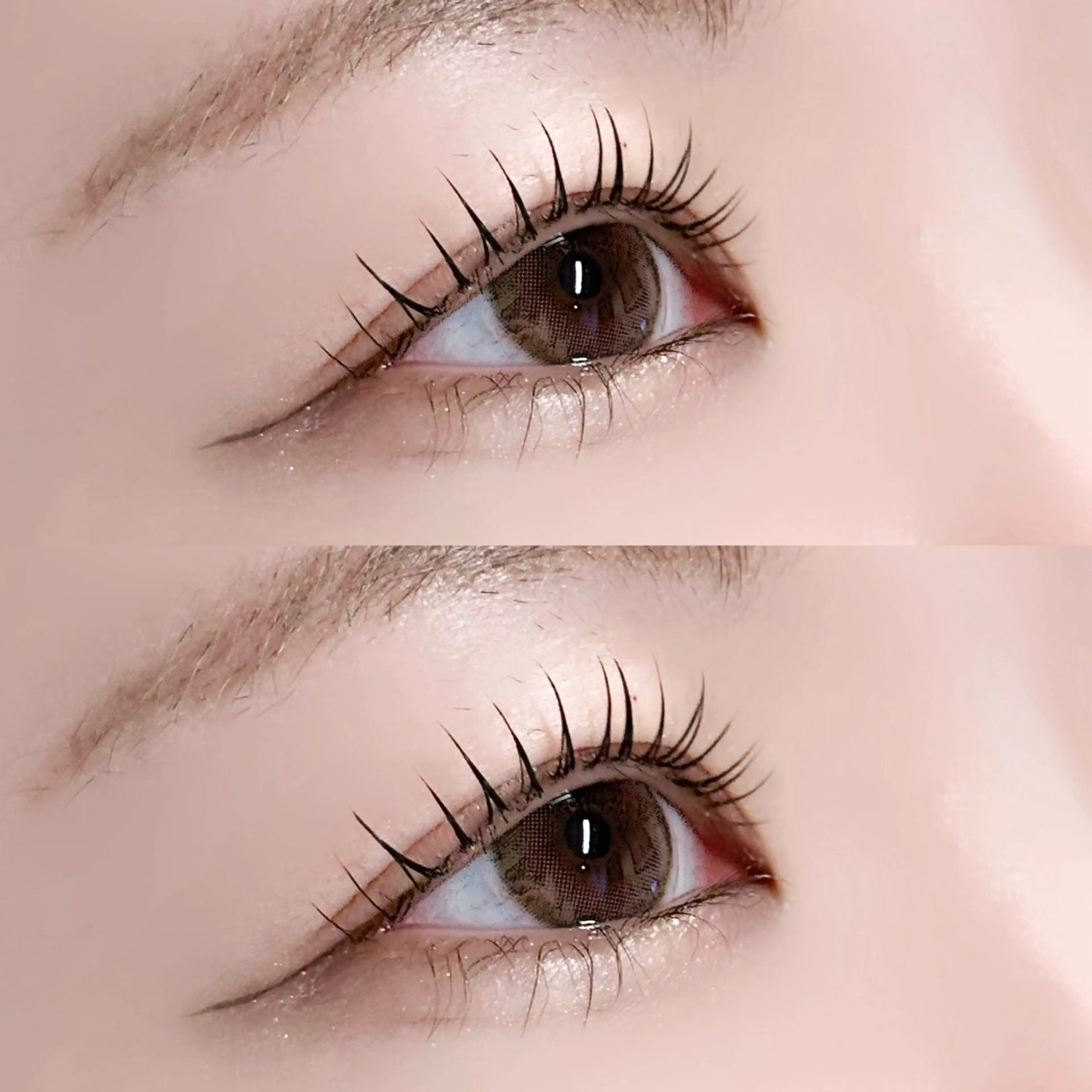 【新規限定】まつ毛パーマ上のみ⭐︎コーティング付きの写真