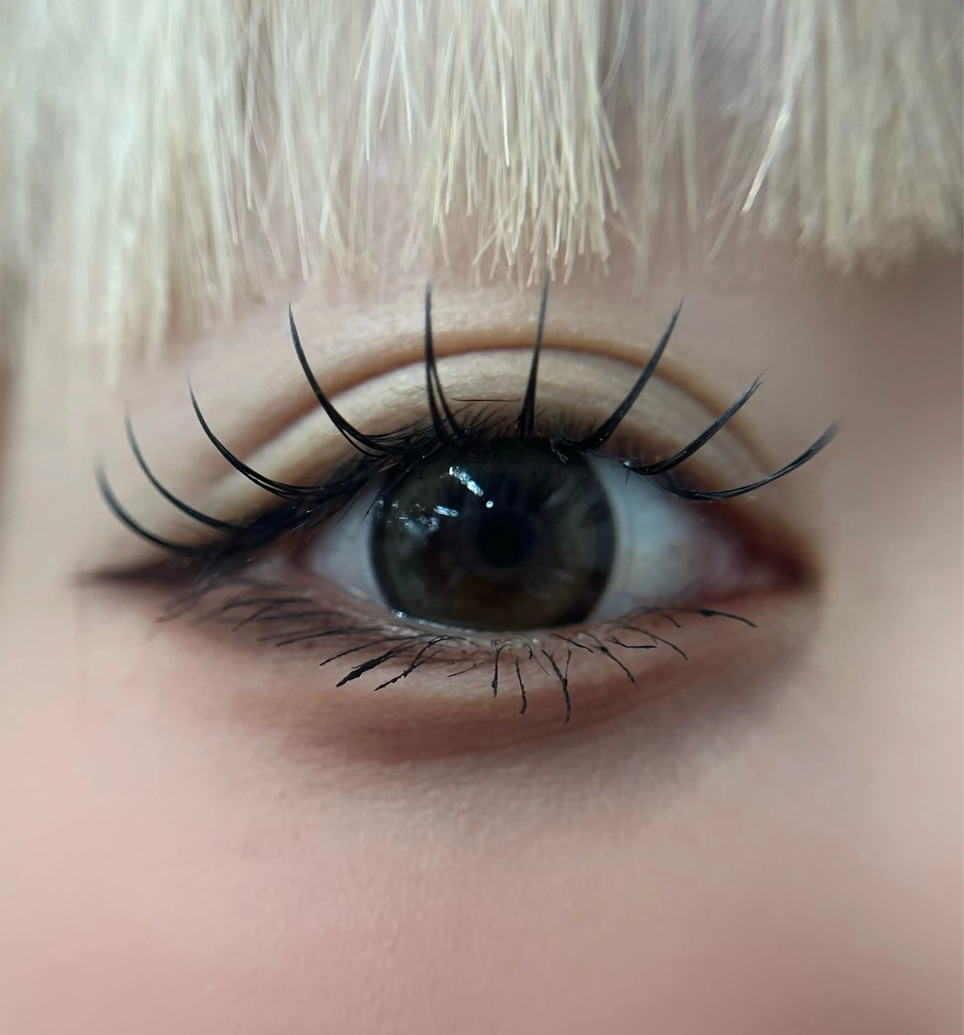 マツエク1時間付け放題オフ込み【モデル募集】の写真