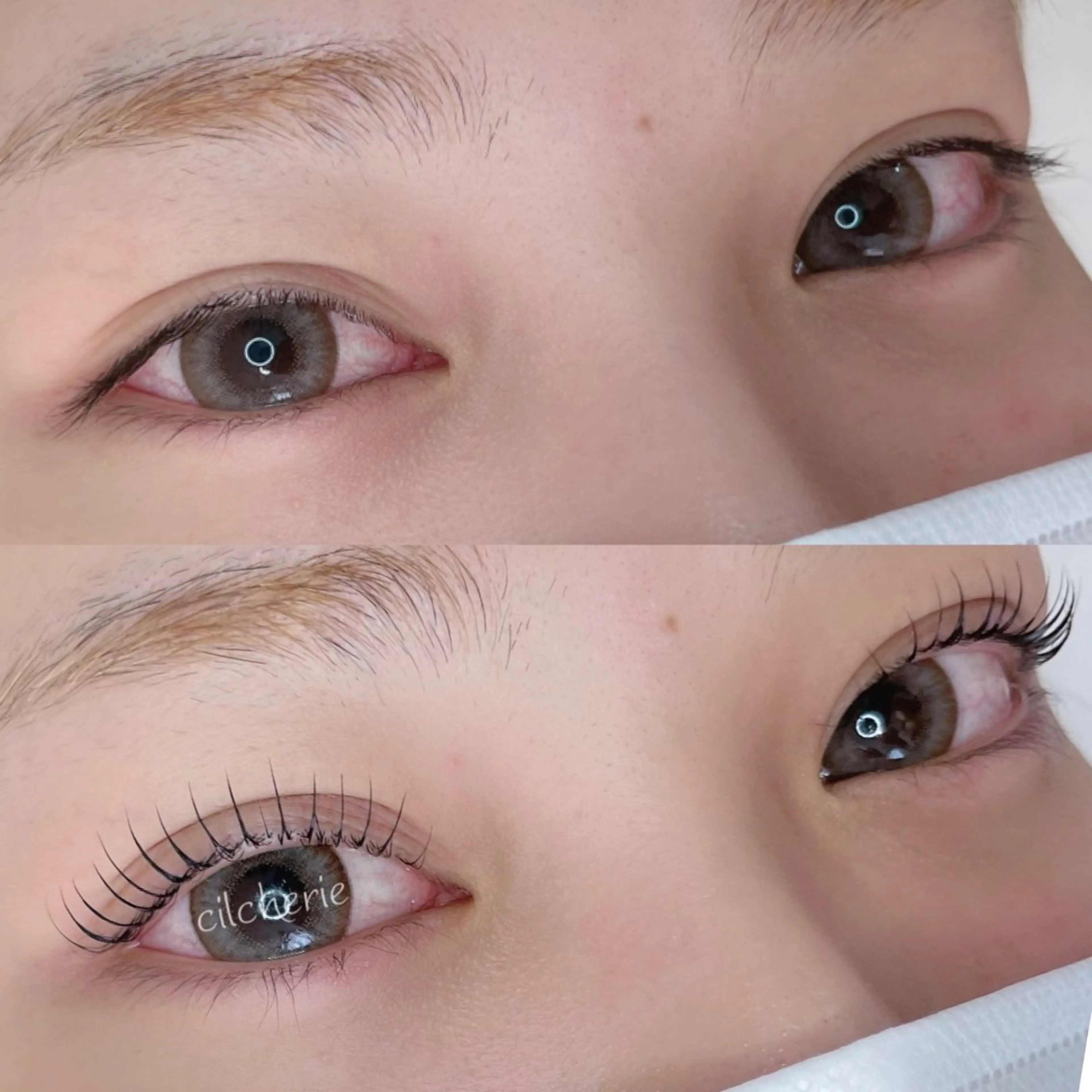 マツエク・マツパ マツパ cilcherie (シルシェリー)のマツエク・マツパデザイン