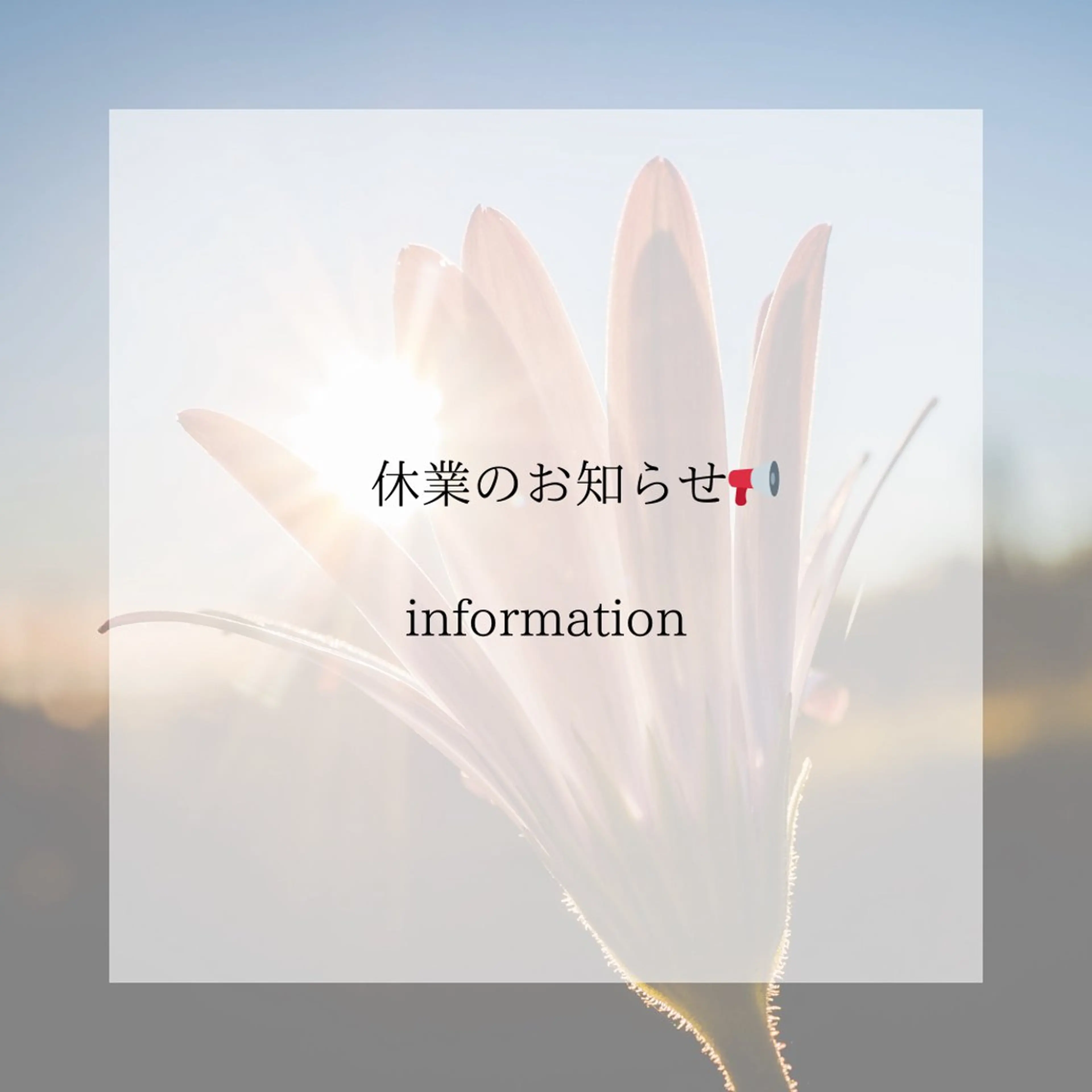 ネイル Mai Nail 本田舞のネイルデザイン