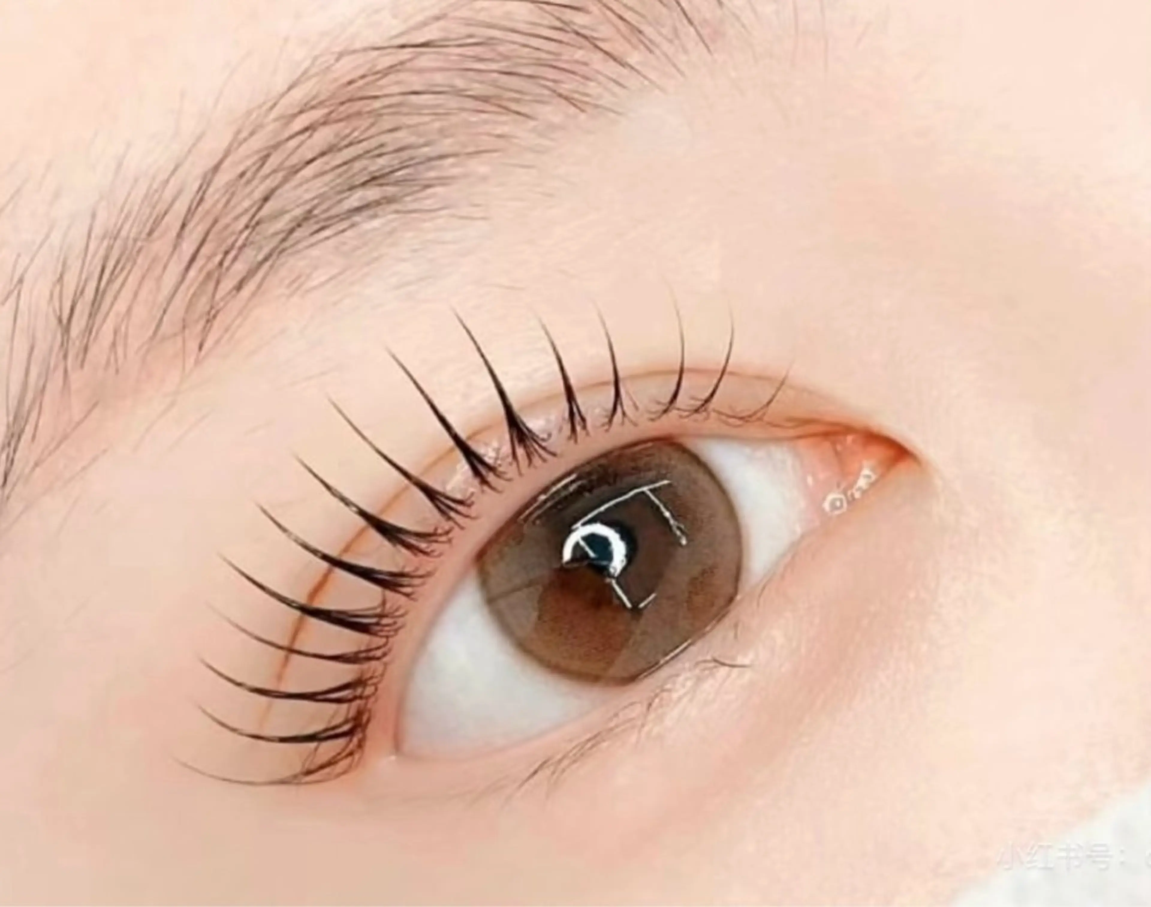 ミニモ限定割🈹✨パリジェンヌラッシュリフト+ ブラックティント🖤🩶🖤韓国人気 🌈コーティング仕上げの写真