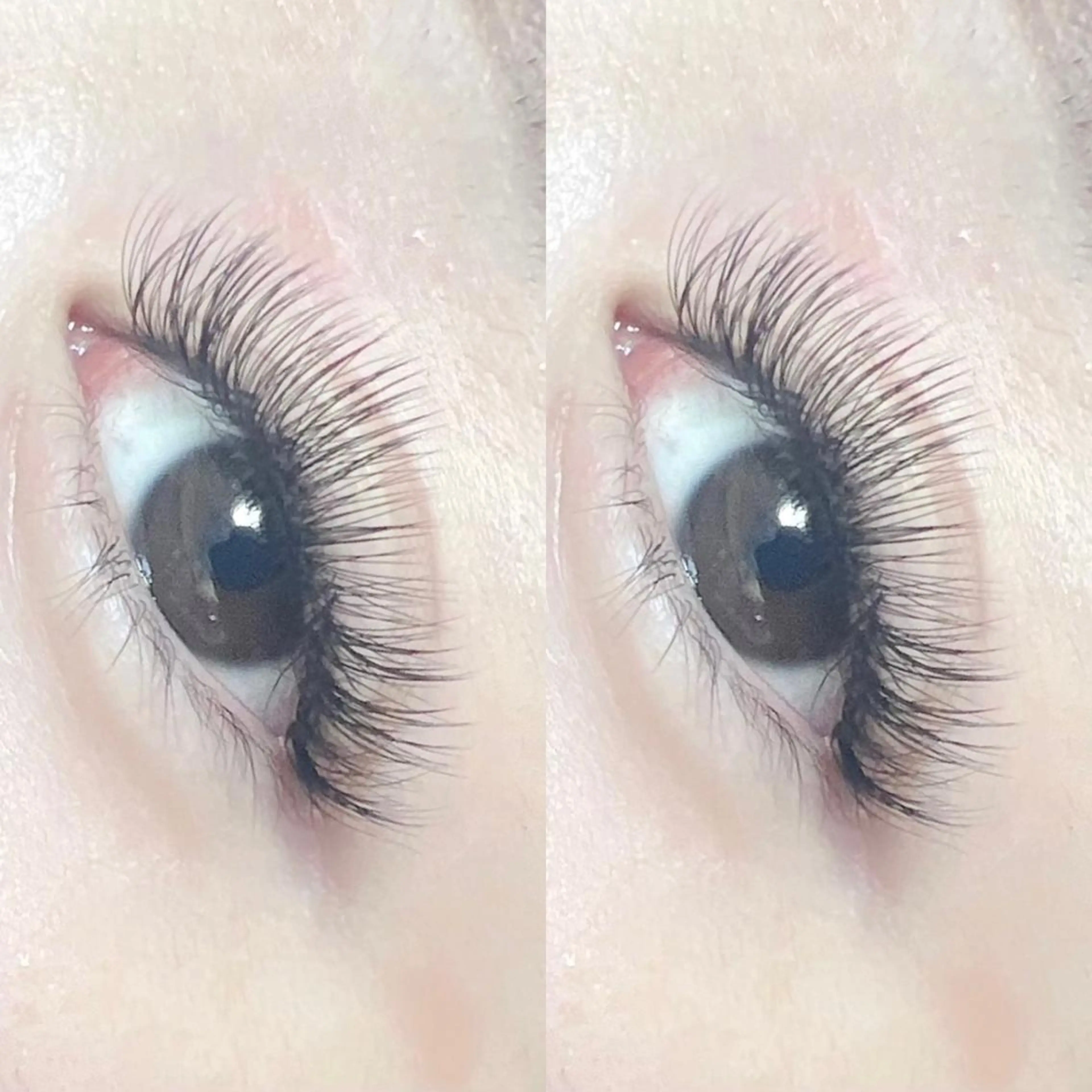 マツエク・マツパ マツエク 【那覇/束感まつ毛】 ｷｬﾒﾙのマツエク・マツパデザイン