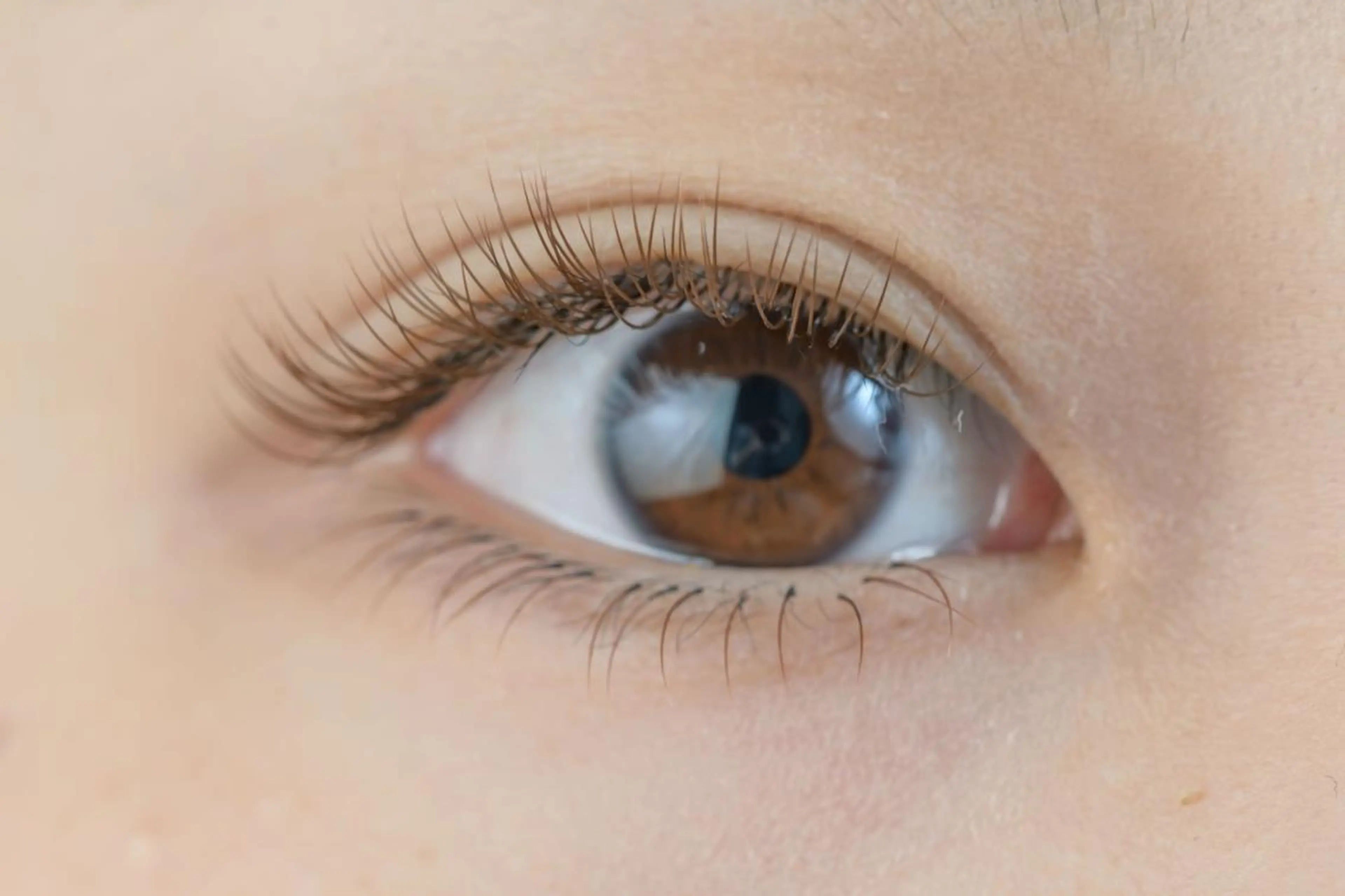 マツエク・マツパ カラーマツエク アイサロン フェア 海老名店のマツエク・マツパデザイン