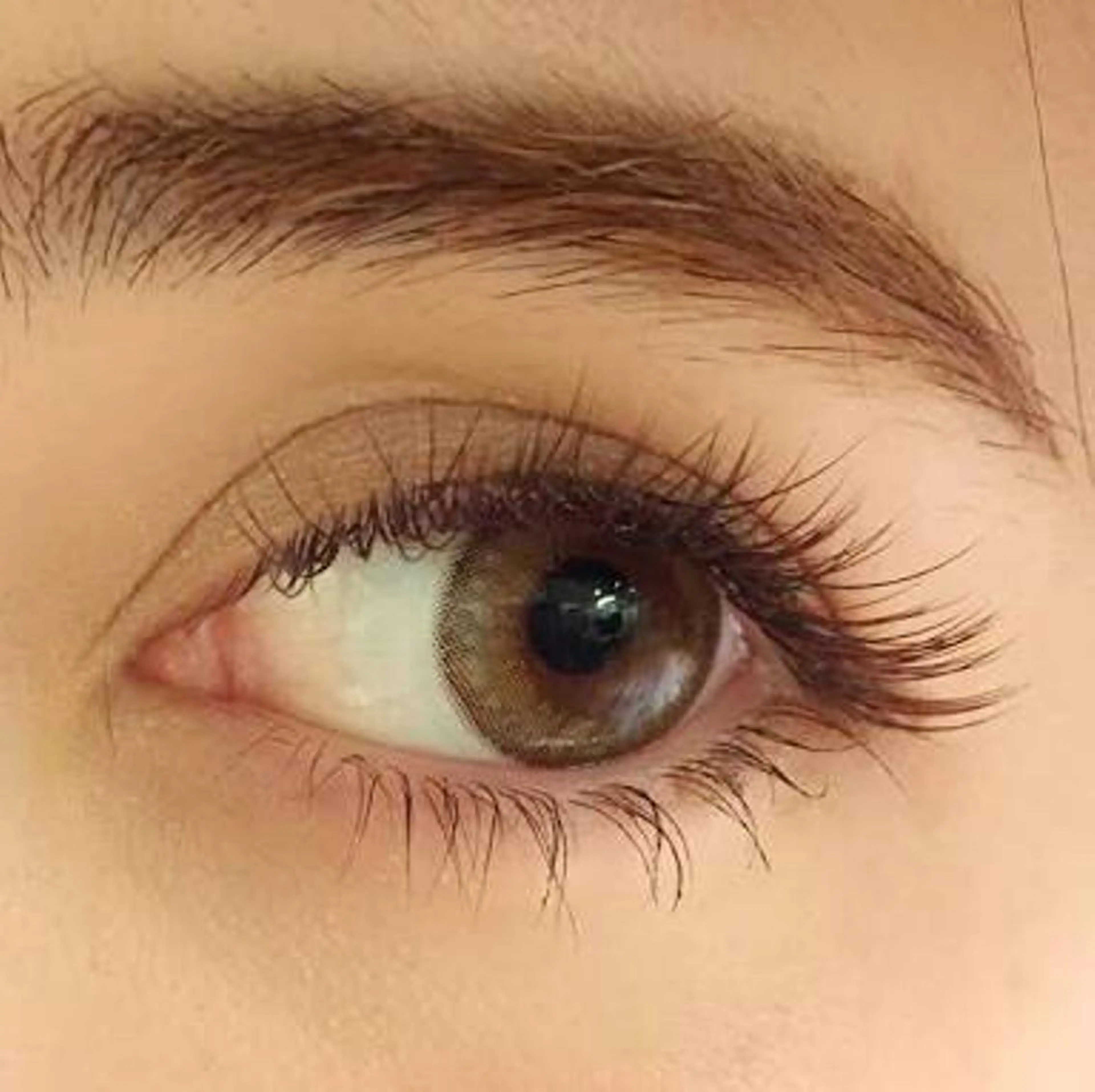 マツエク・マツパ カラーマツエク セクシー MUSE      (ミューズ)所属・MUSE 遠藤 由佳のマツエク・マツパデザイン