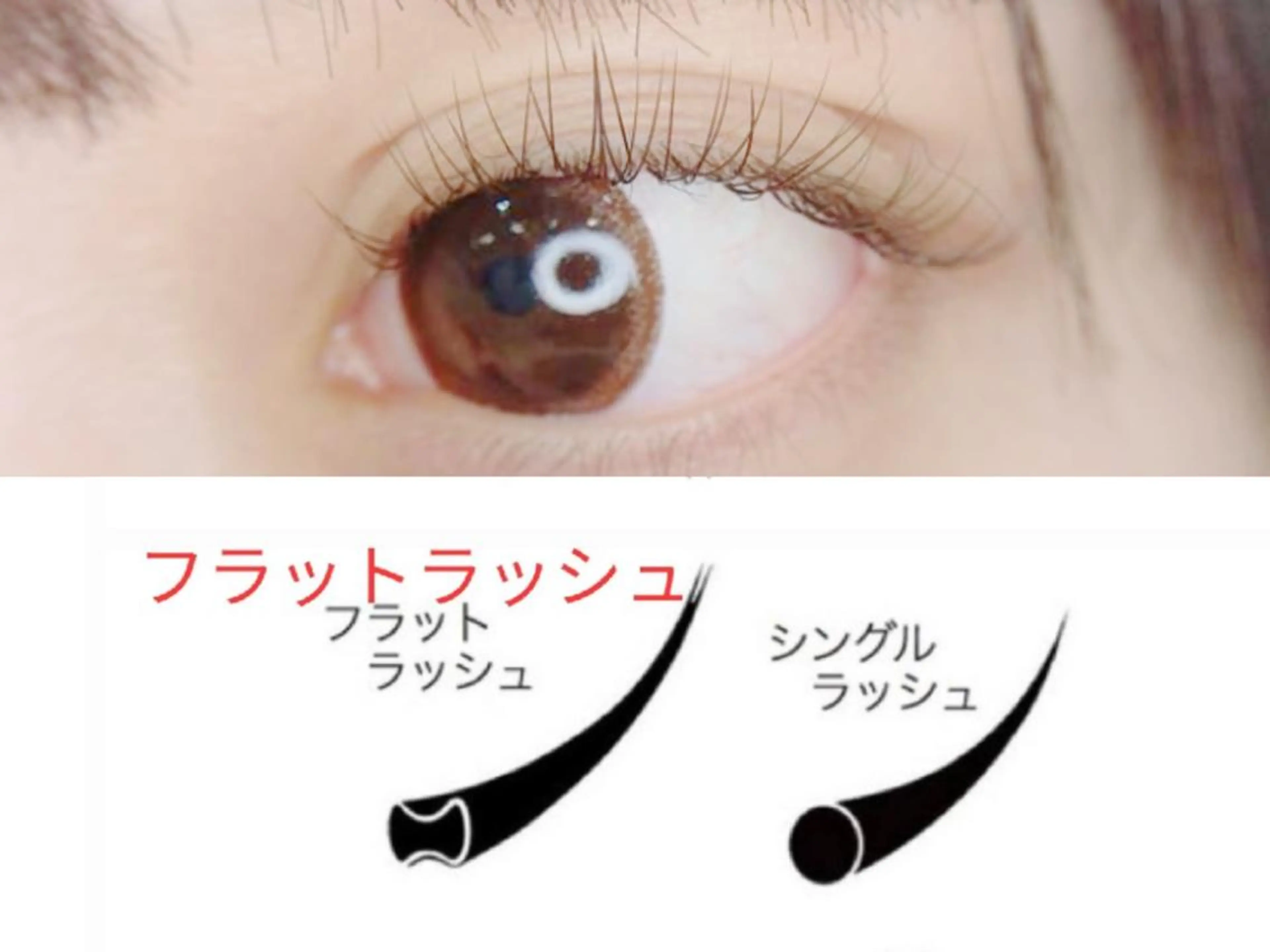 【オフ無料】フラッドラッシュ100本¥4980の写真