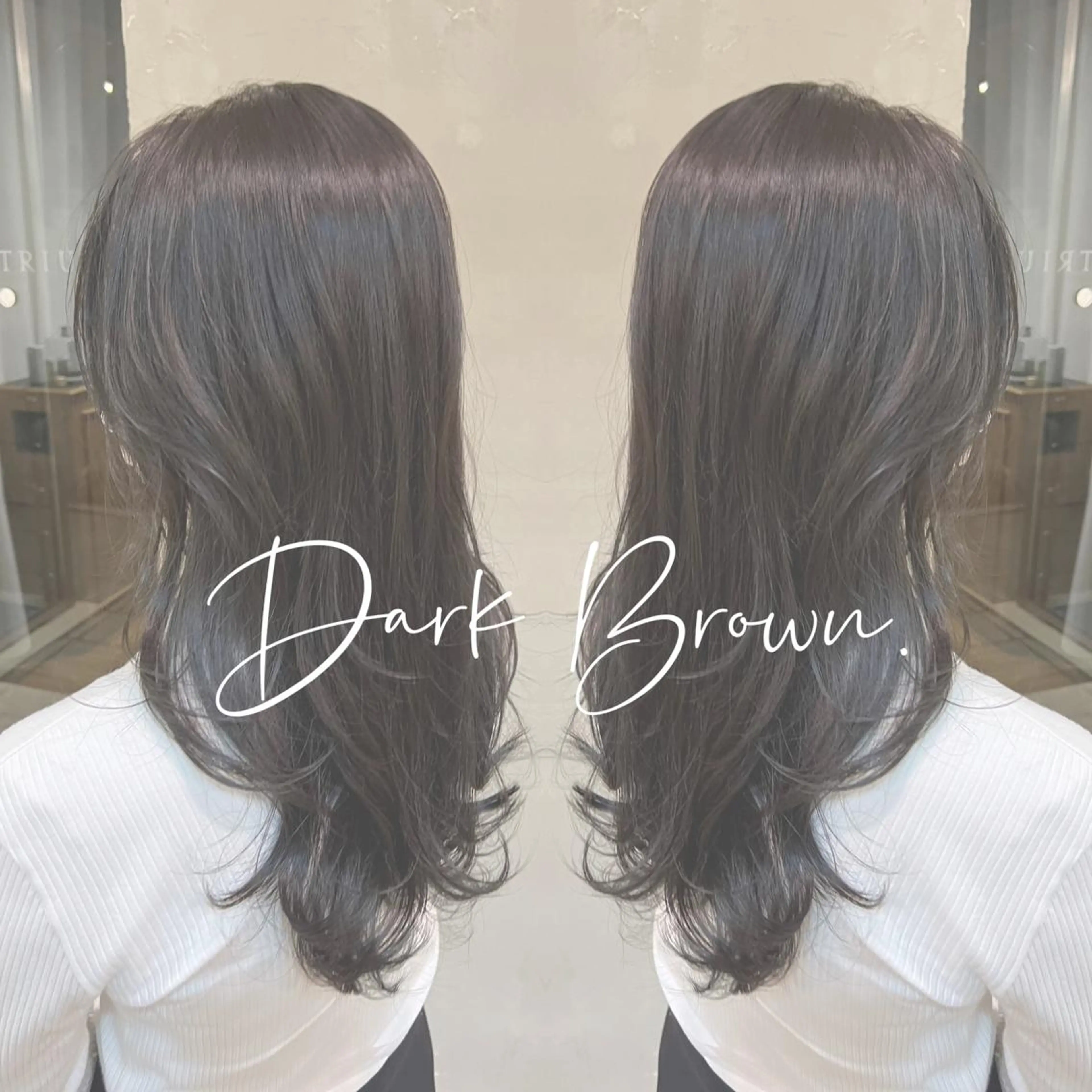 カラー カットモデル募集 🔥中浜　稜のヘアスタイル