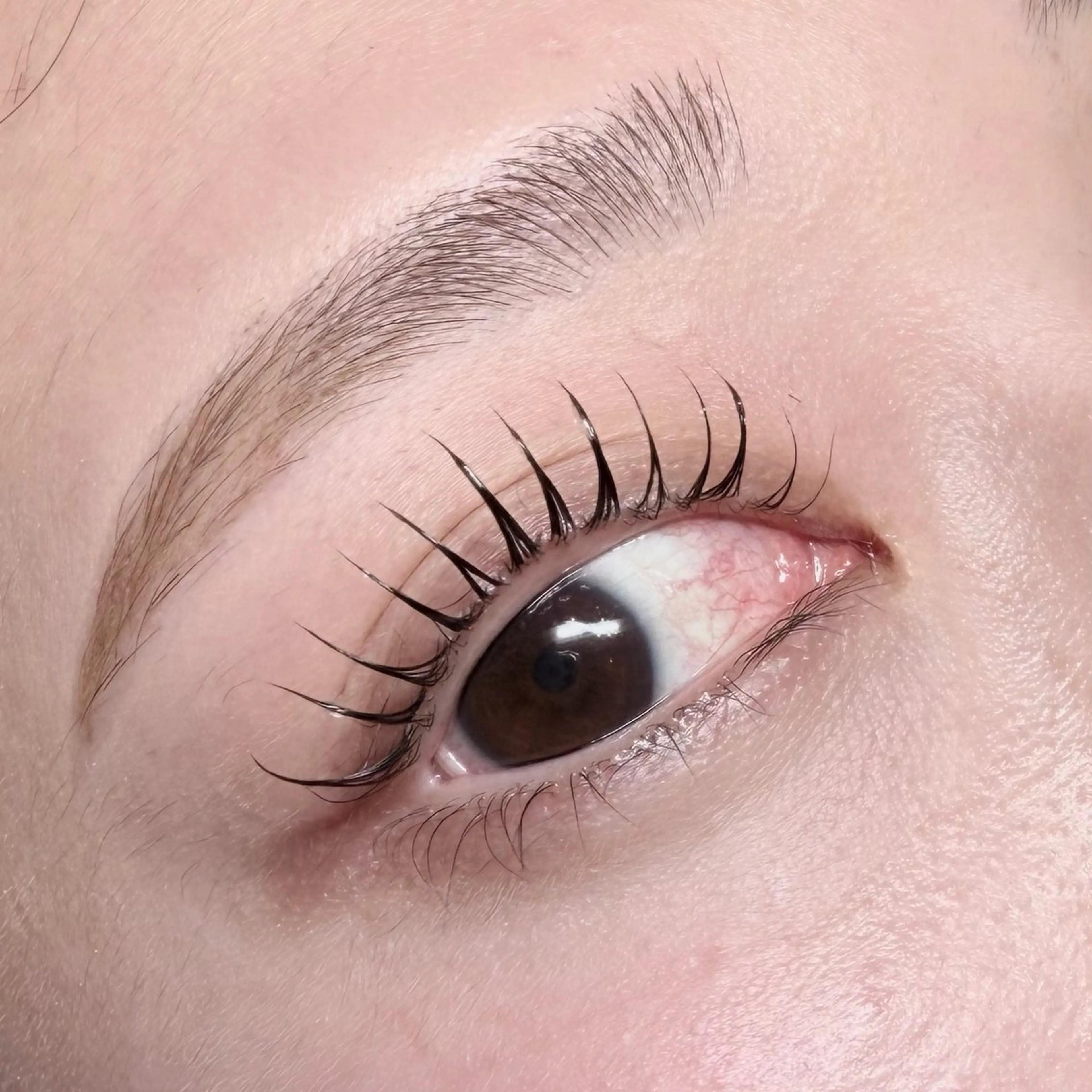 マツエク・マツパ その他 Y.mako‪∗*ﾟ angelicaの眉毛・アイブロウイメージ