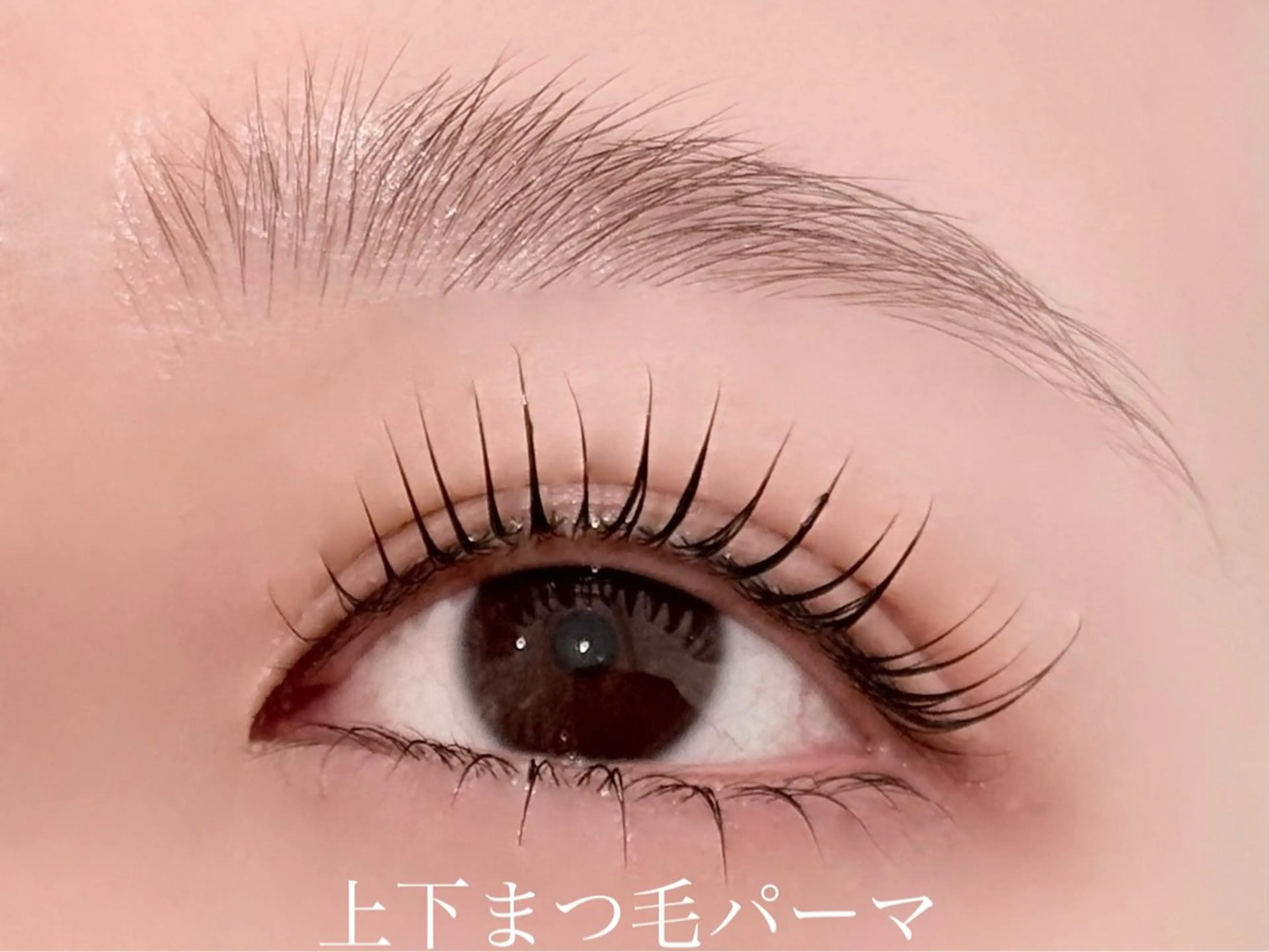 上下まつげパーマの写真