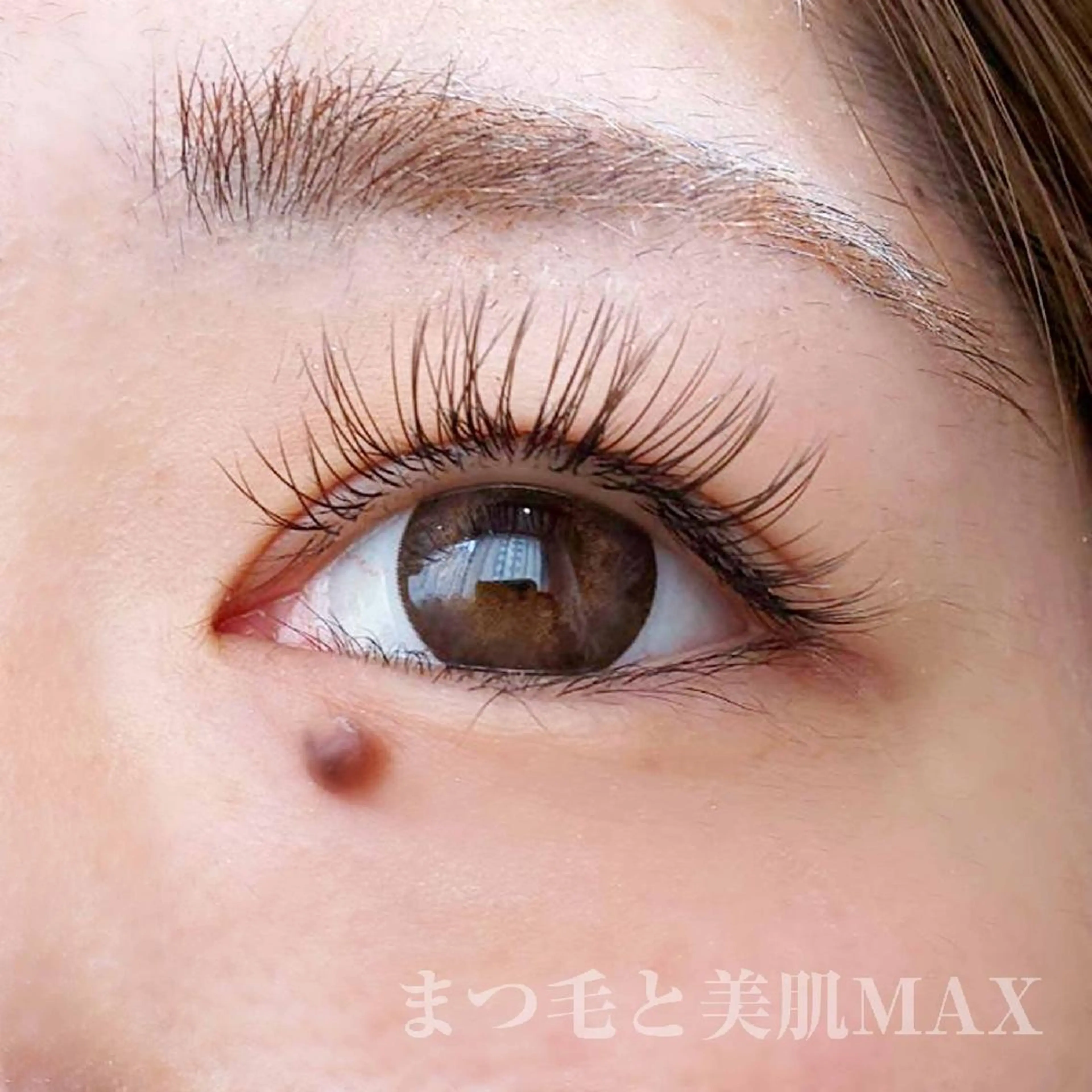 マツエク・マツパ MAXまつ毛&  フェイシャルのマツエク・マツパデザイン