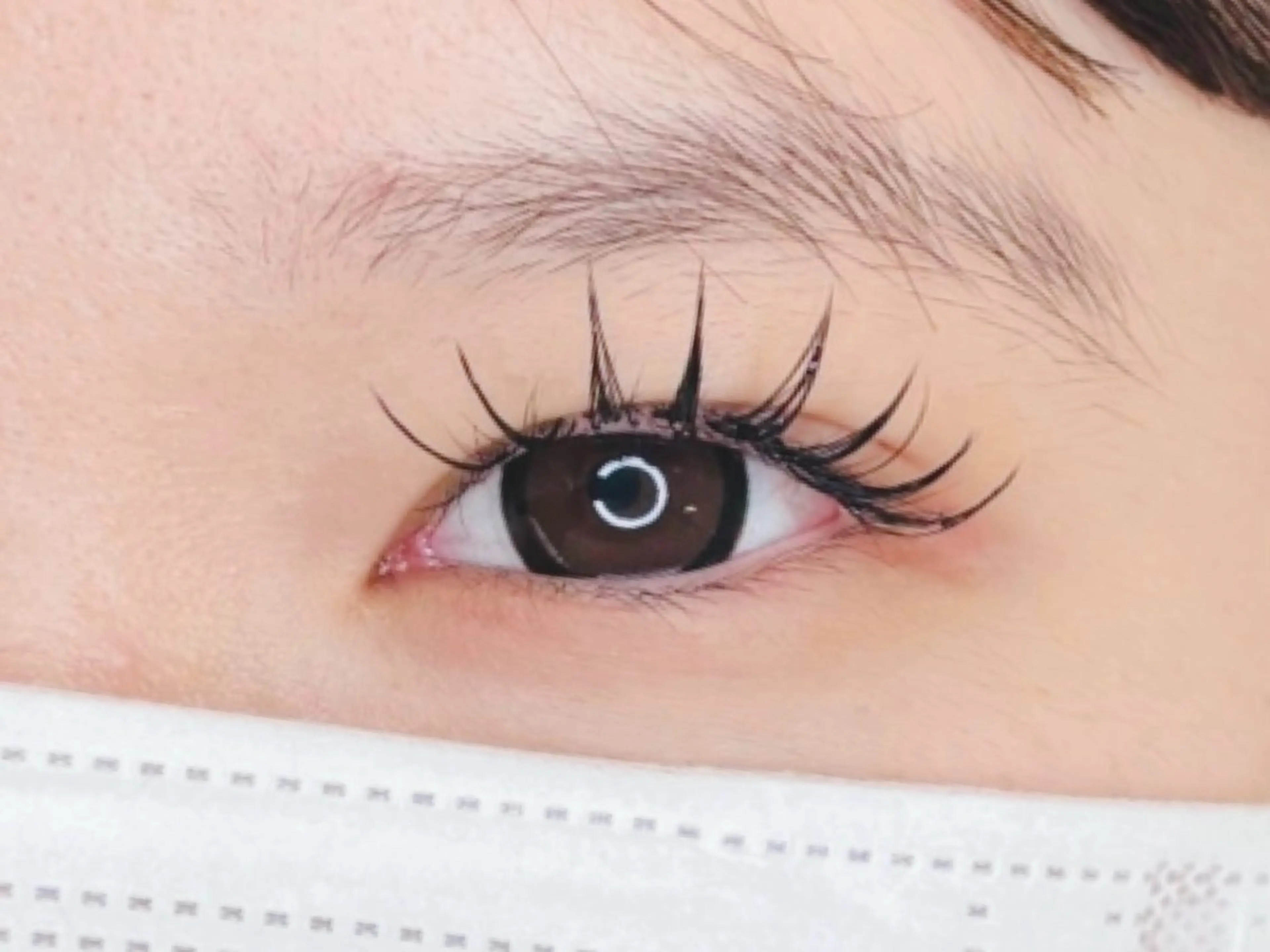 マツエク・マツパ 付け放題 バインドロック 束感まつ毛 フラットラッシュ パリジェンヌラッシュリフト マツエク オーロラ所属・AURORA RINAのマツエク・マツパデザイン