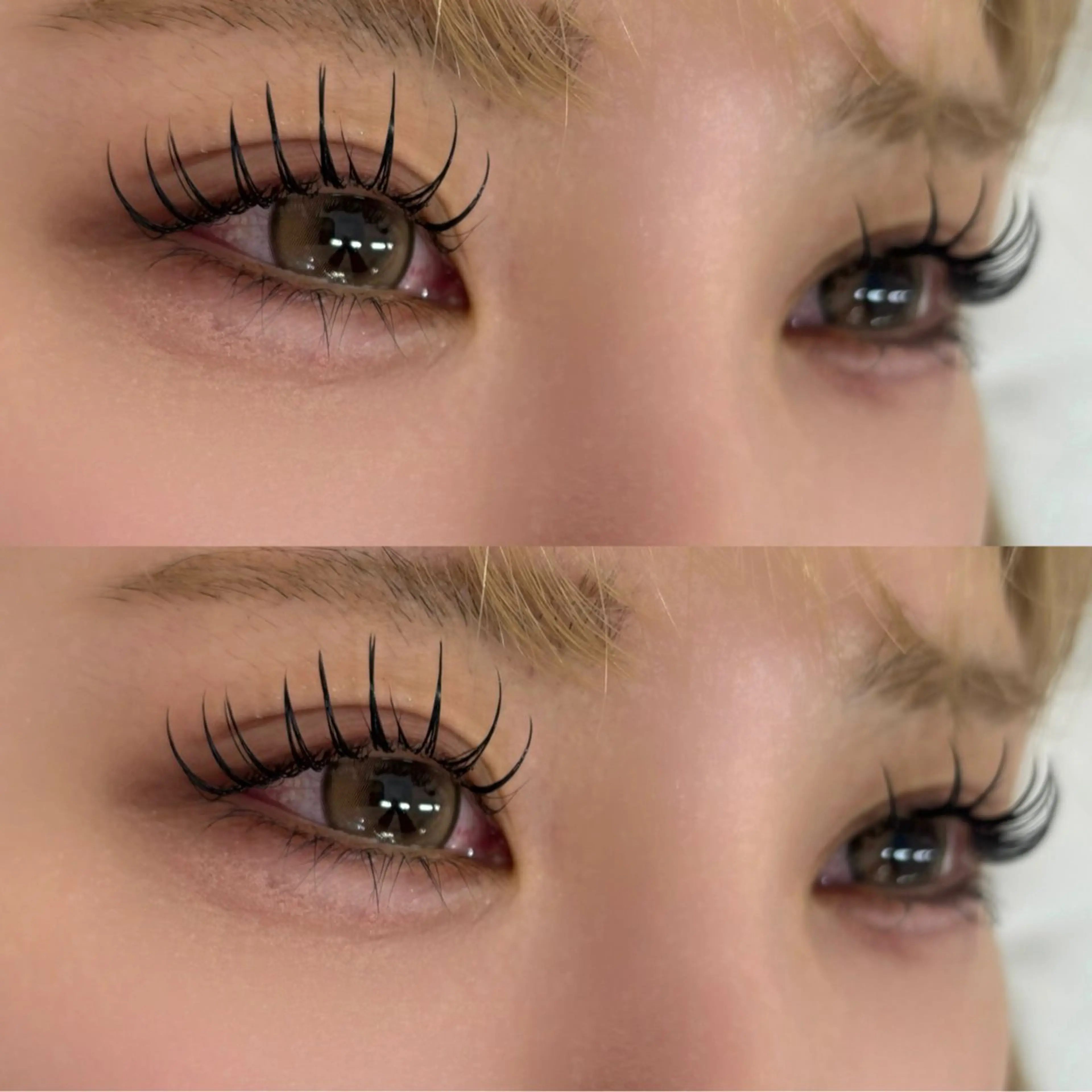 マツエク・マツパ マツパ マリーテレジア 🩶MANAのマツエク・マツパデザイン