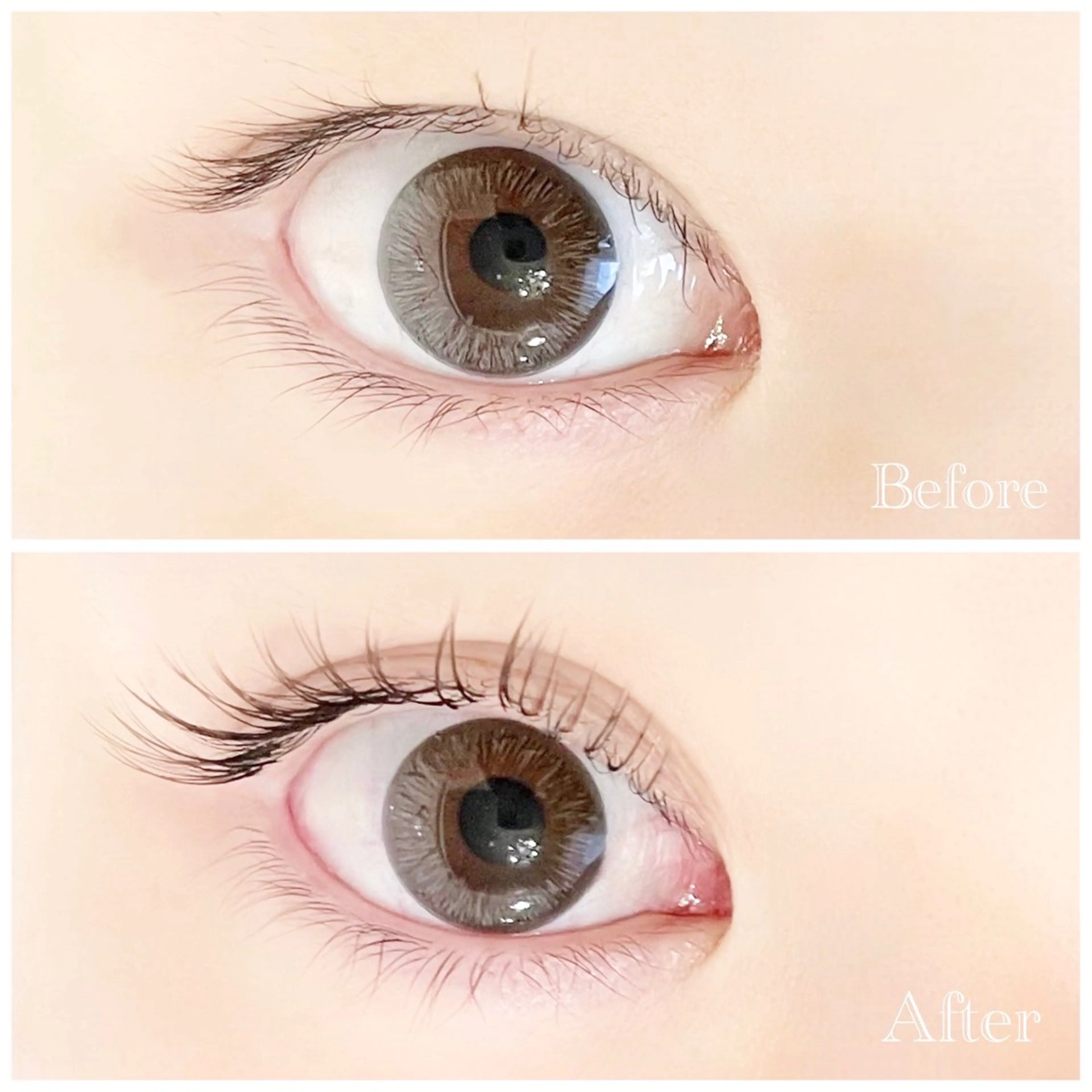 マツエク・マツパ LC覚王山店所属・LC【エルシー】 覚王山店の眉毛・アイブロウイメージ