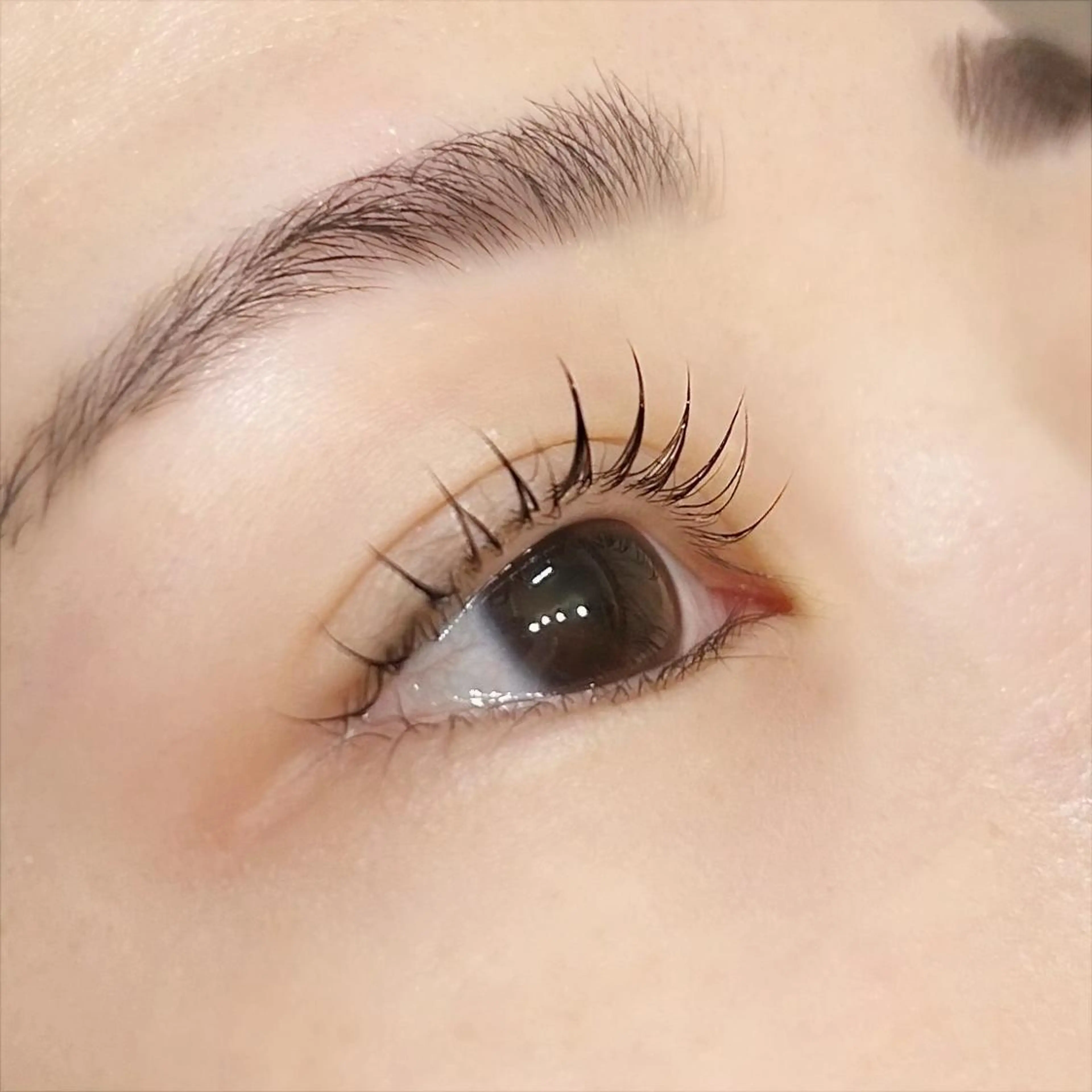 マツエク・マツパ 神戸岡本店 クルールプリュスのマツエク・マツパデザイン