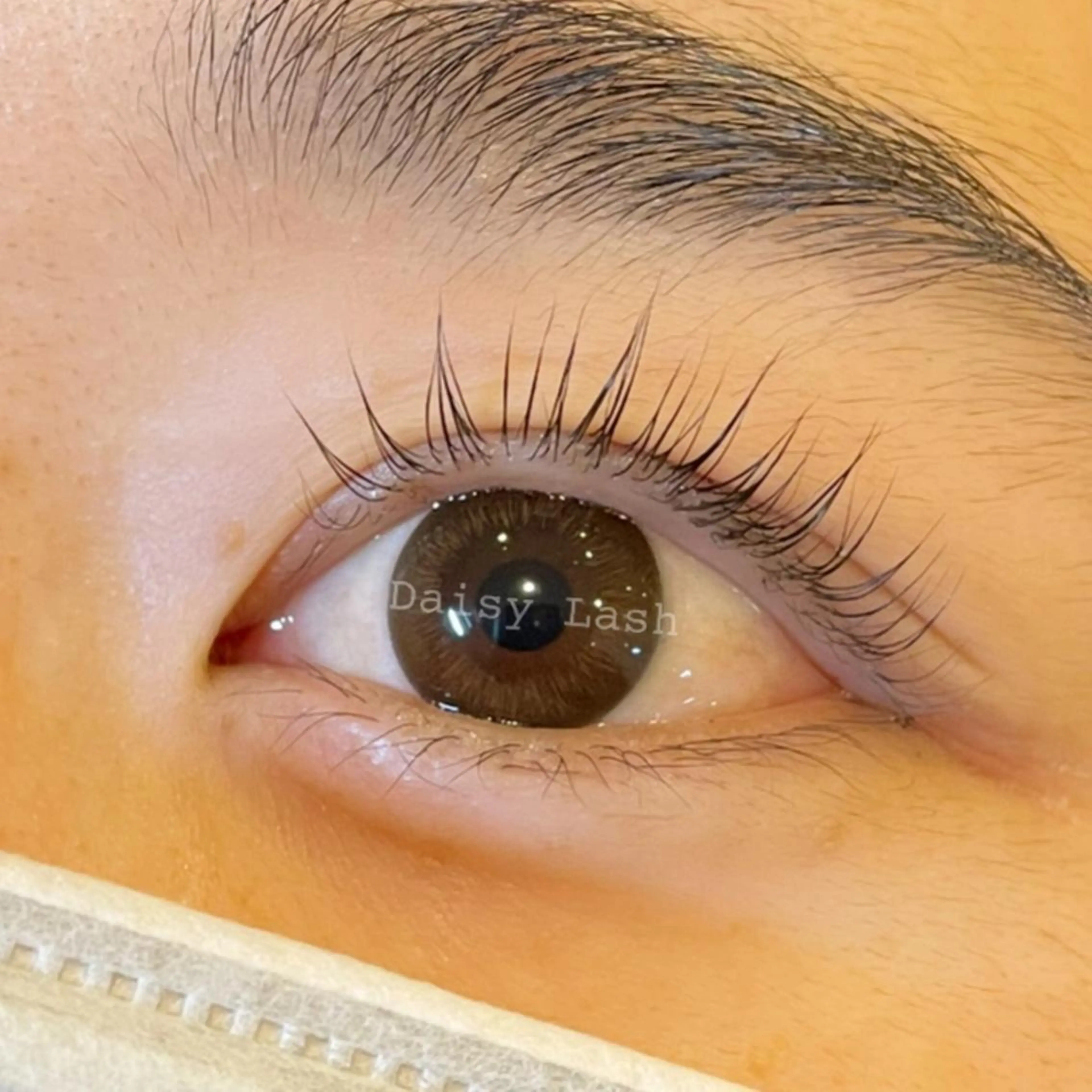 マツエク・マツパ パリジェンヌラッシュリフト Daisy Lash 梅田本店のマツエク・マツパデザイン