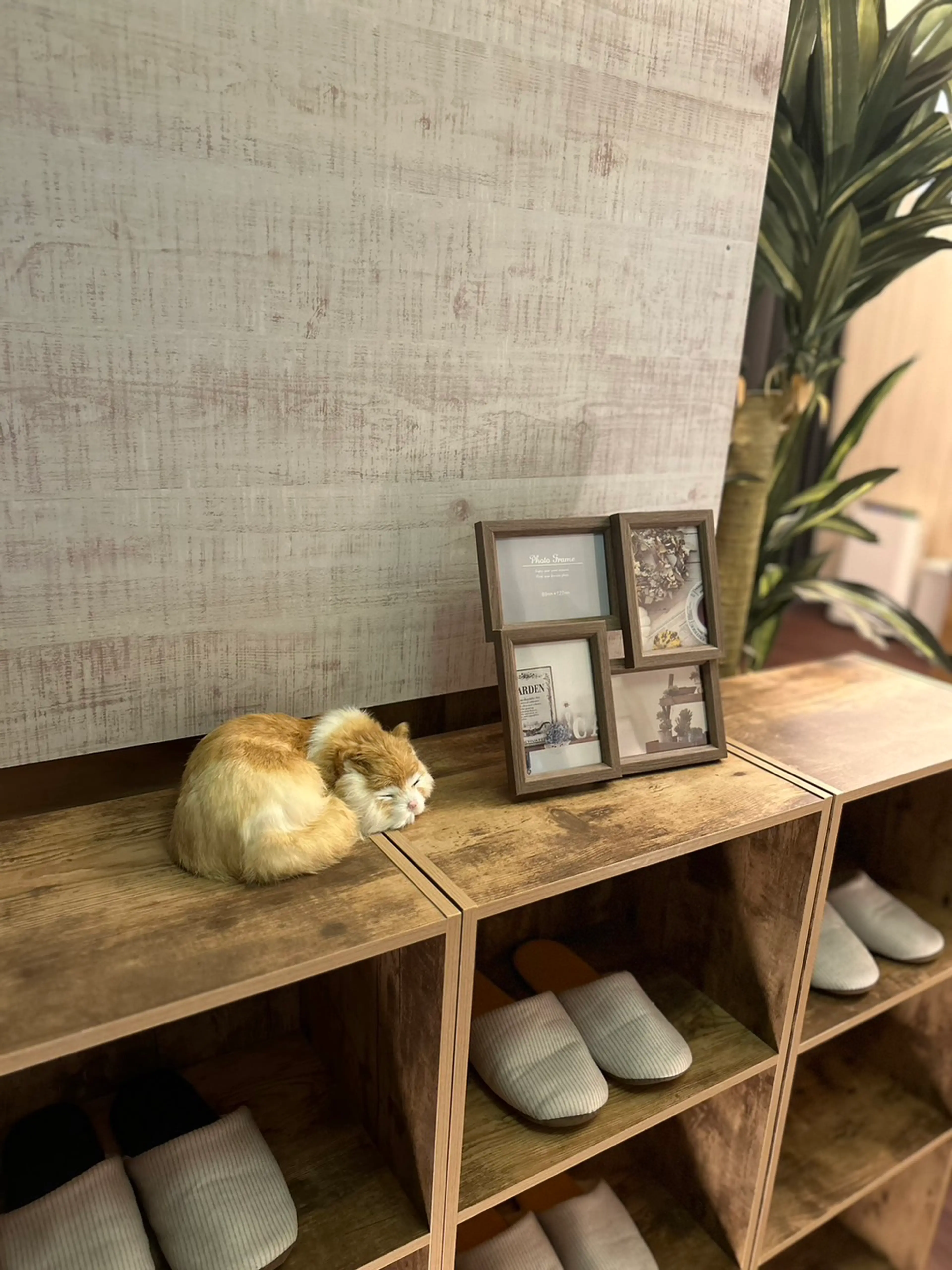 ほぐし猫-もみほぐし専門店-の内観・外観2