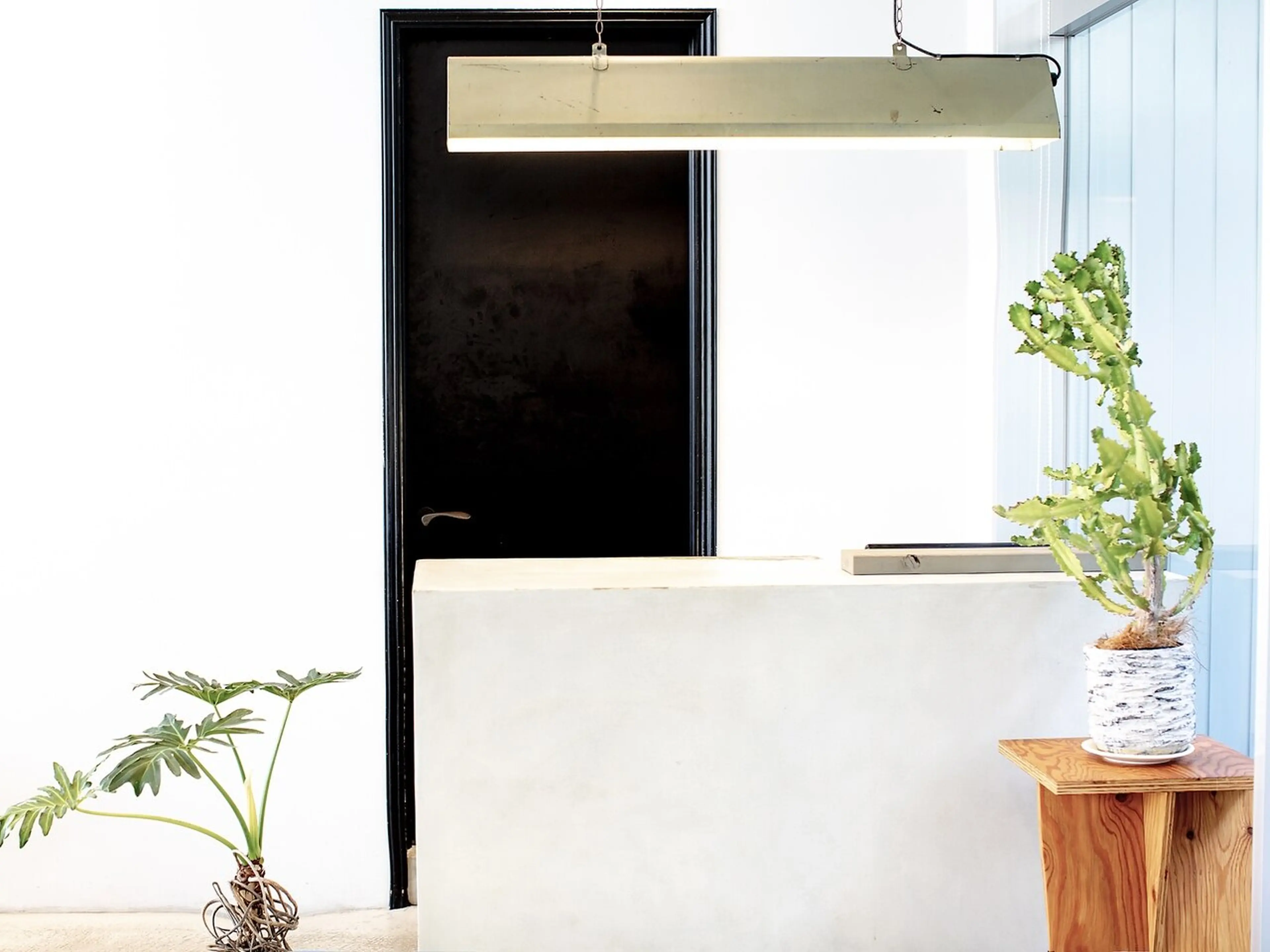 giuliettaの内観・外観3