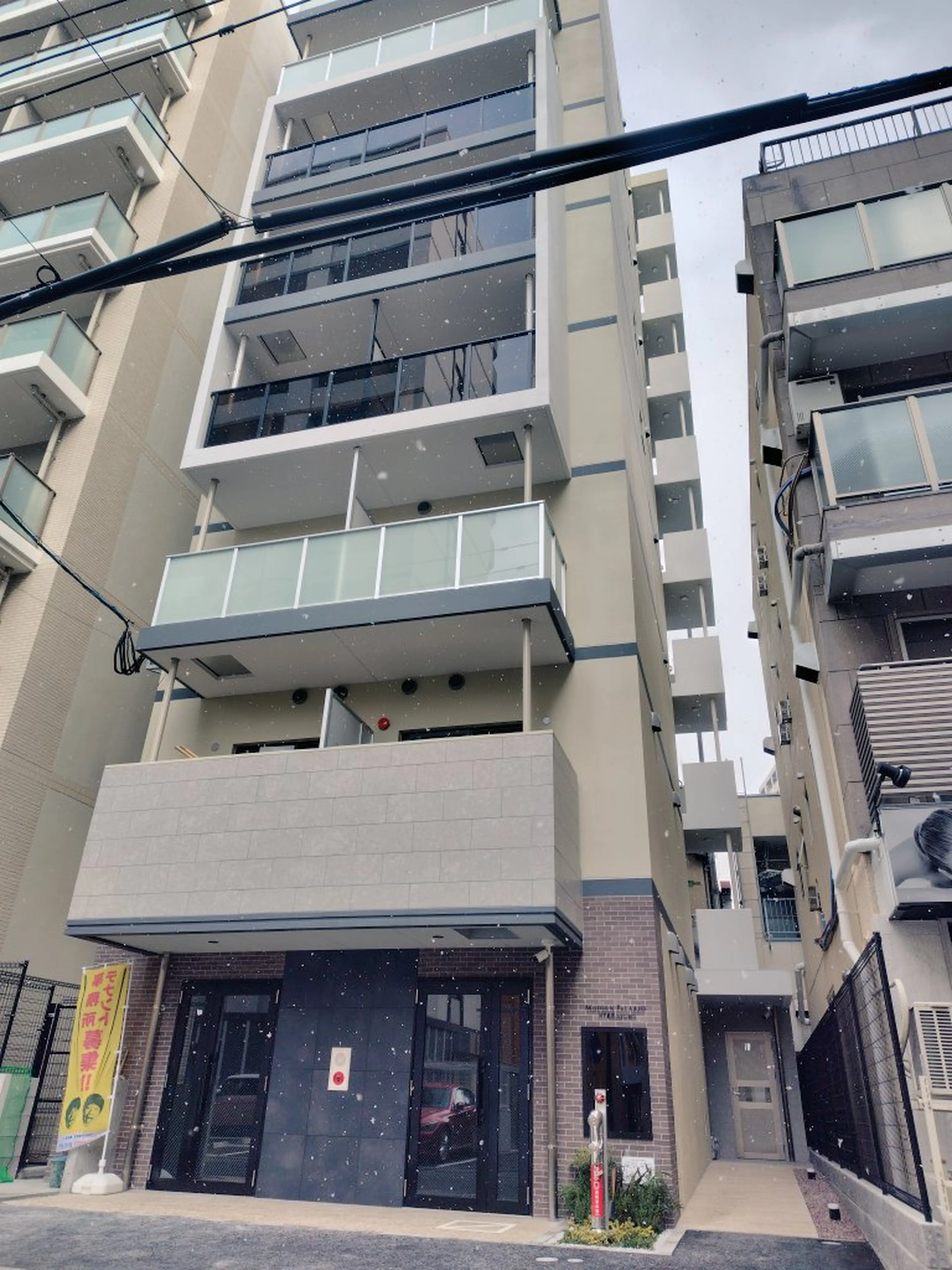 Spathiphyllumの内観・外観1