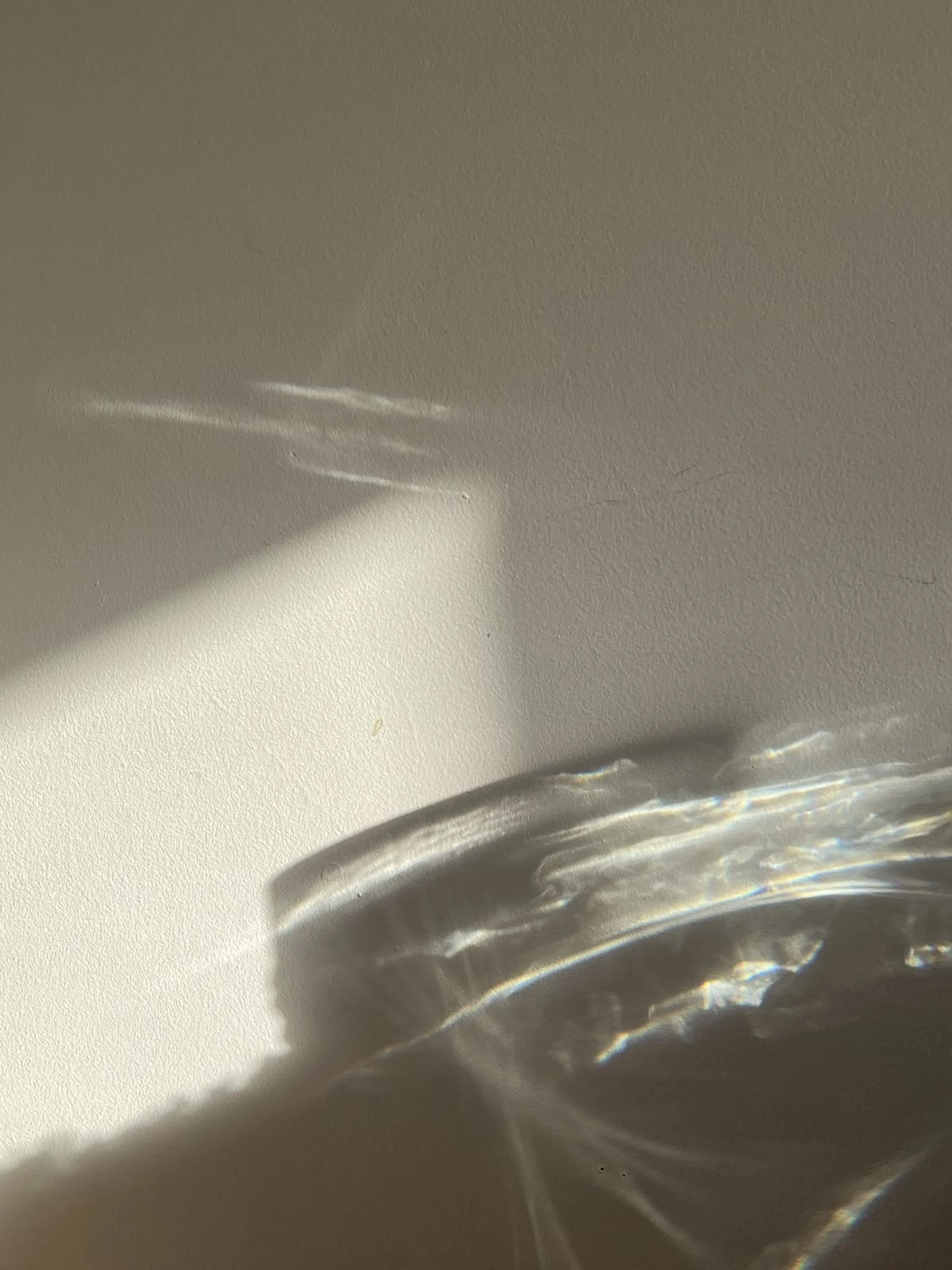 p.o.n.の内観・外観2