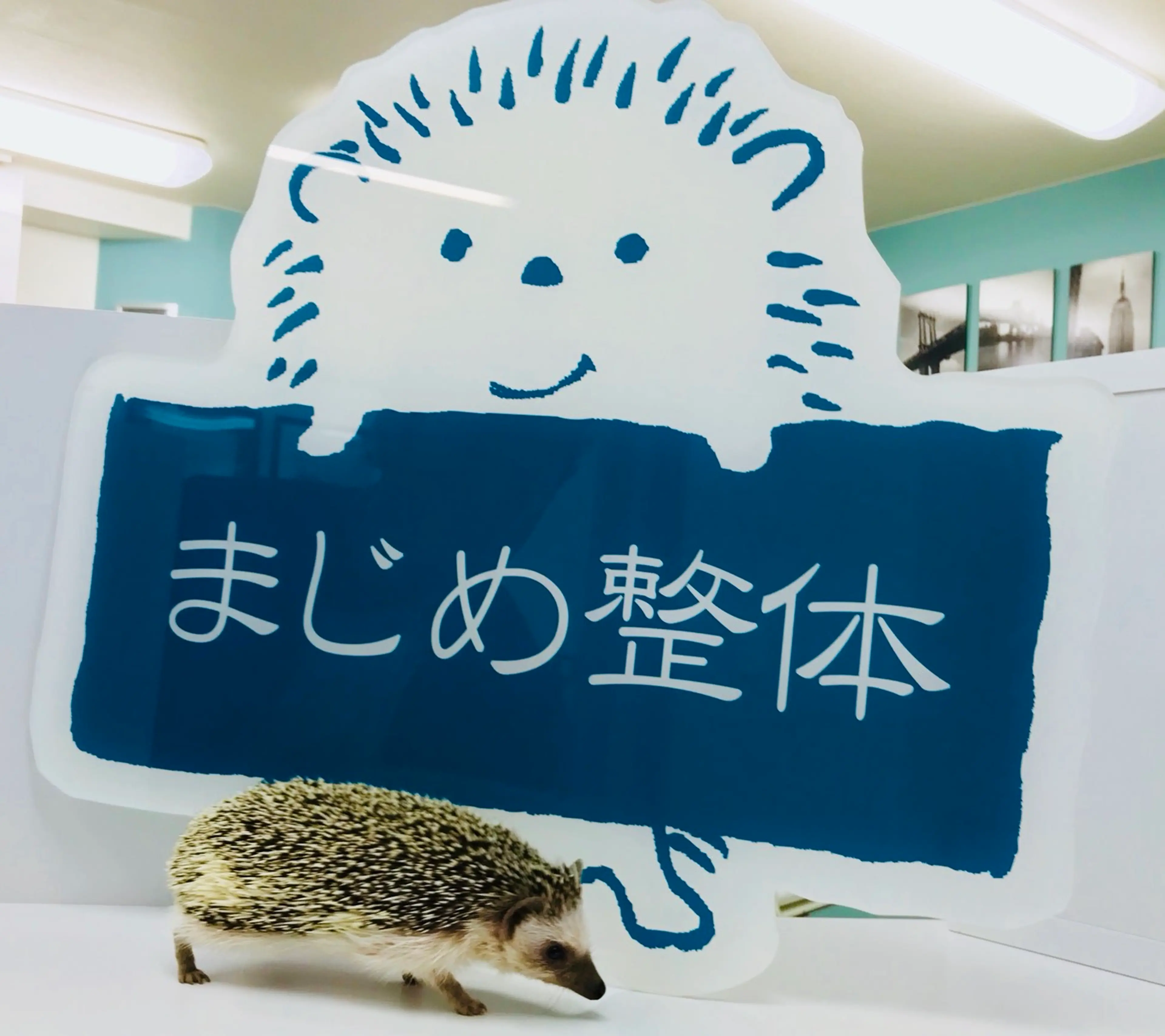 まじめ整体の内観・外観2