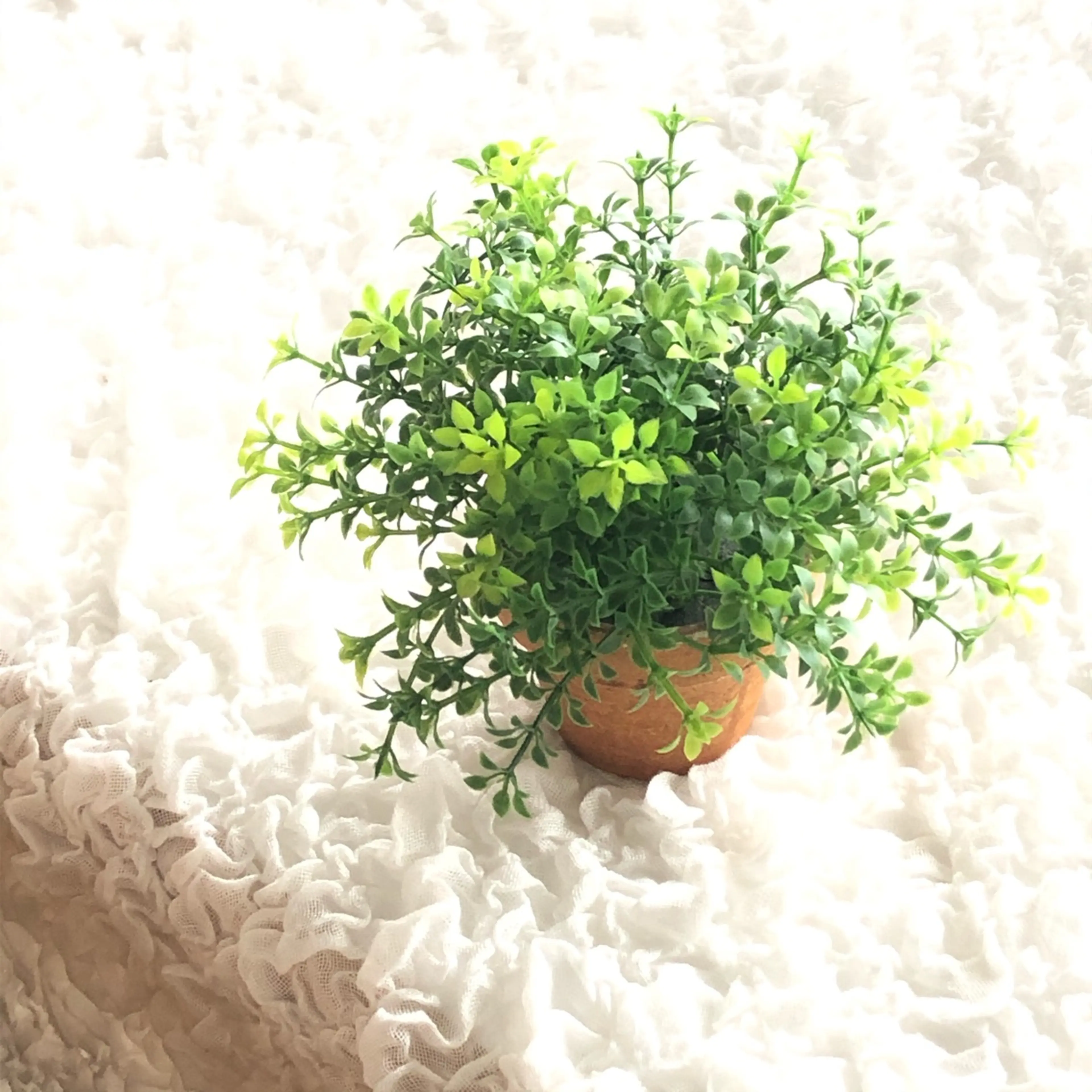 アーユルヴェーダ・リラクゼーションサロンSHANTIの内観・外観3