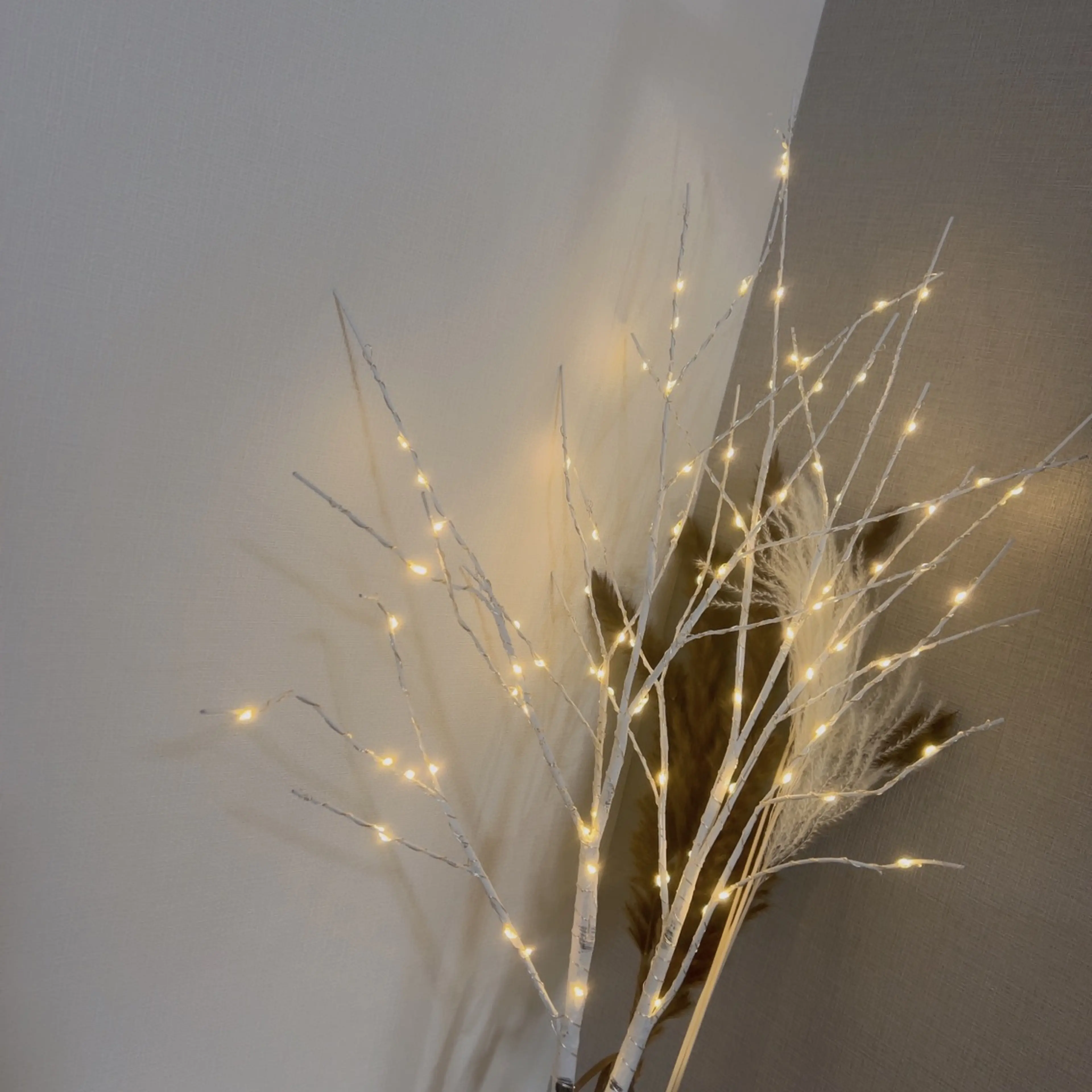 eclatの内観・外観1